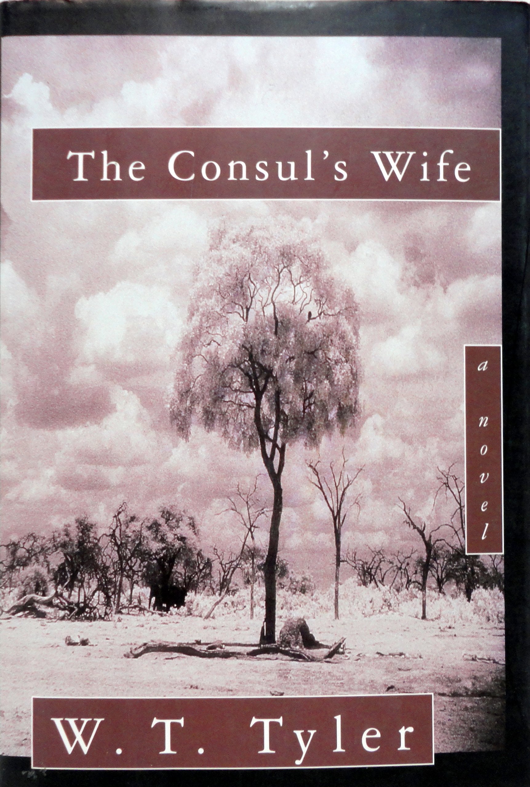 The Consul's Wife Historical Fiction