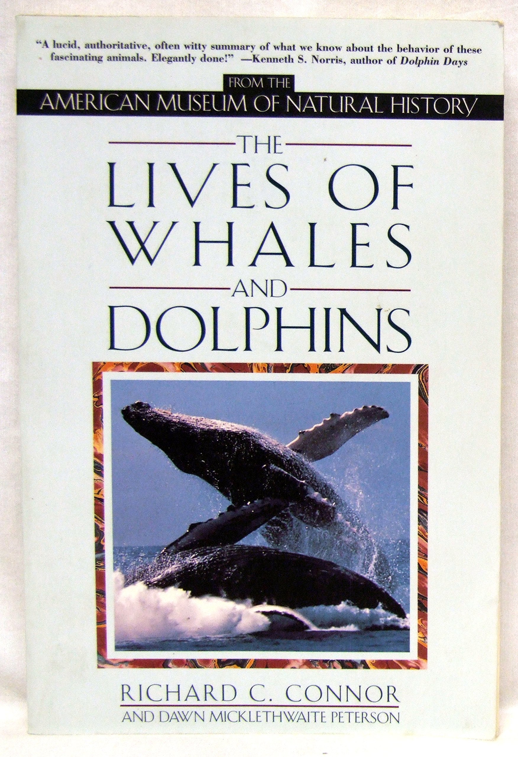The Lives of Whales and Dolphins: From the American Museum of Natural History Mathematics