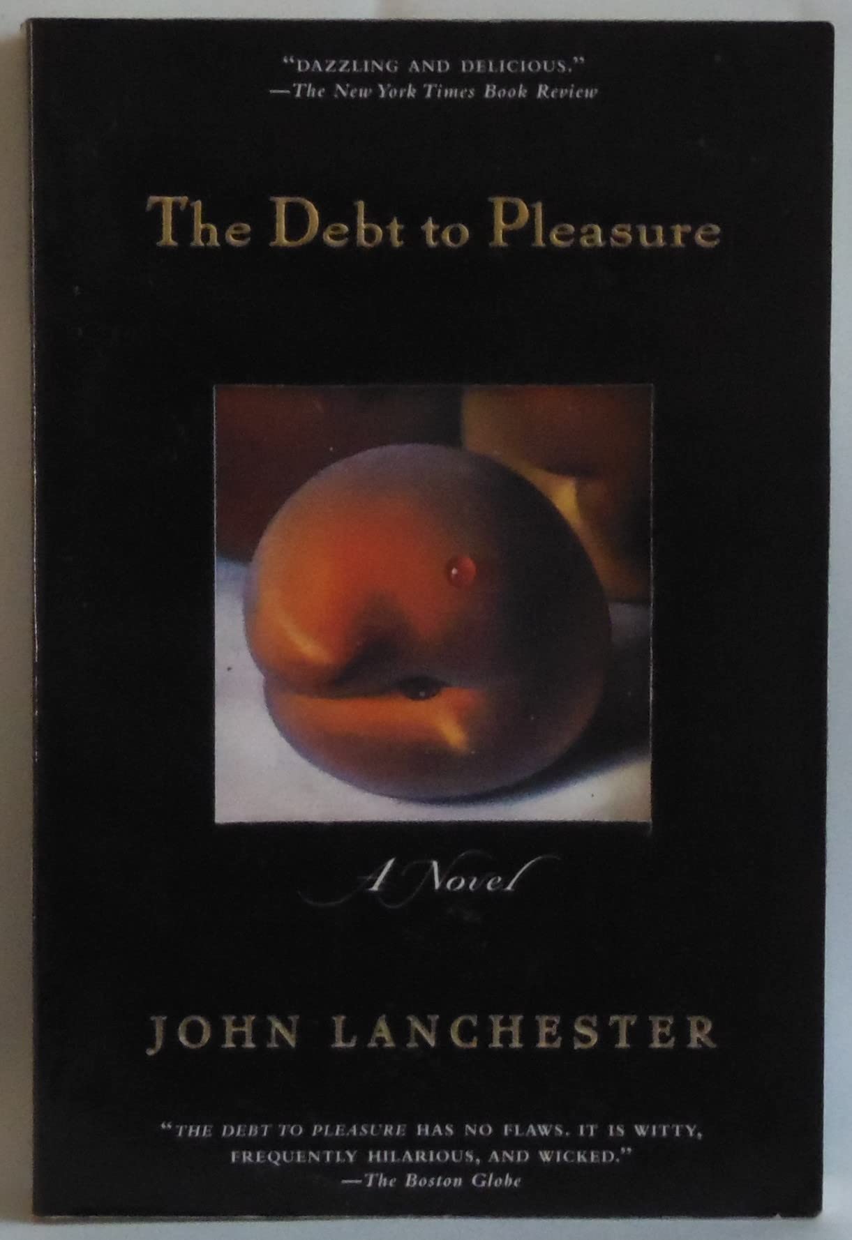 The Debt to Pleasure: A Novel Contemporary literature