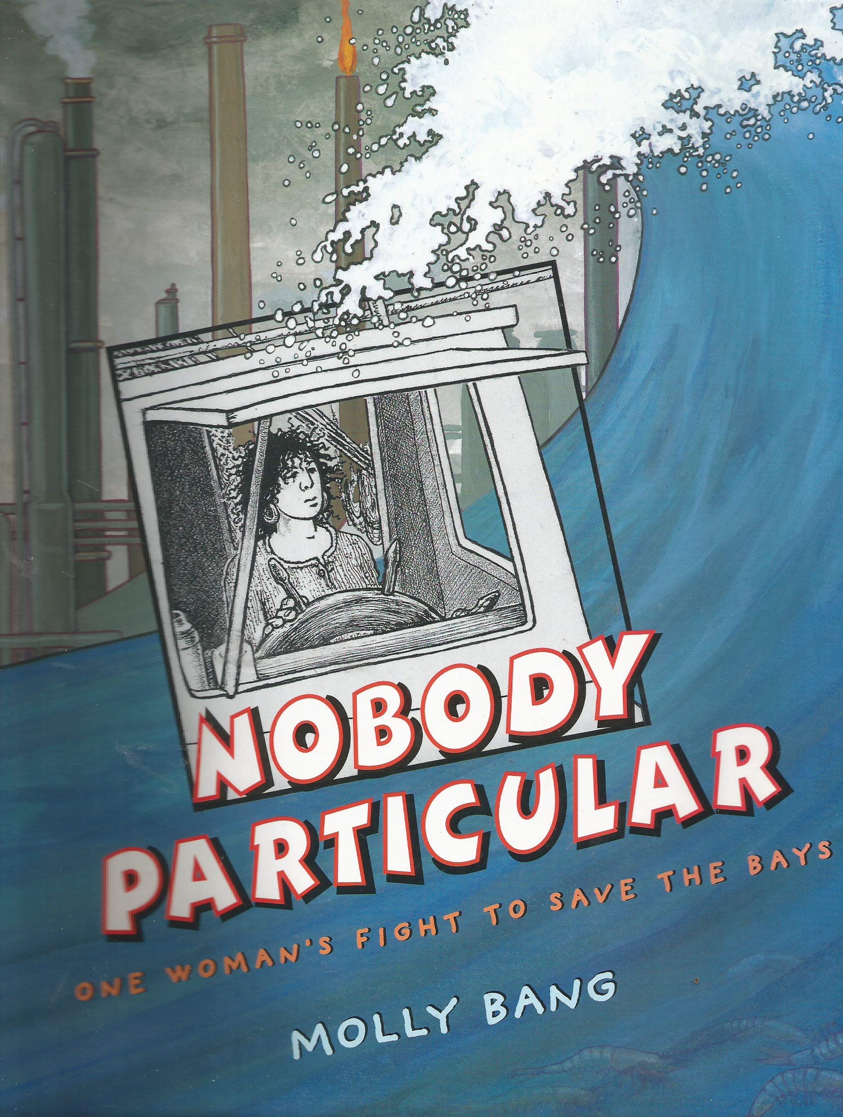 Nobody Particular: 1 Woman's Fight to Save the Bays Non-fiction