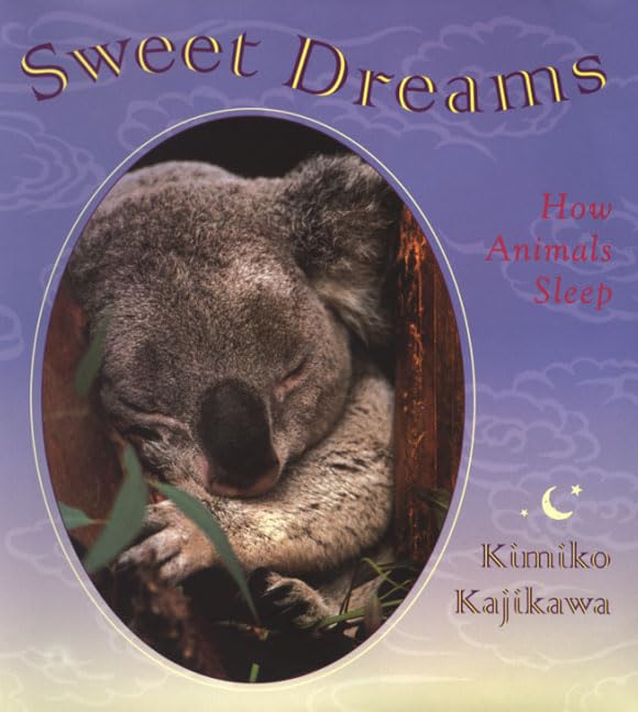 Sweet Dreams: How Animals Sleep Non-fiction