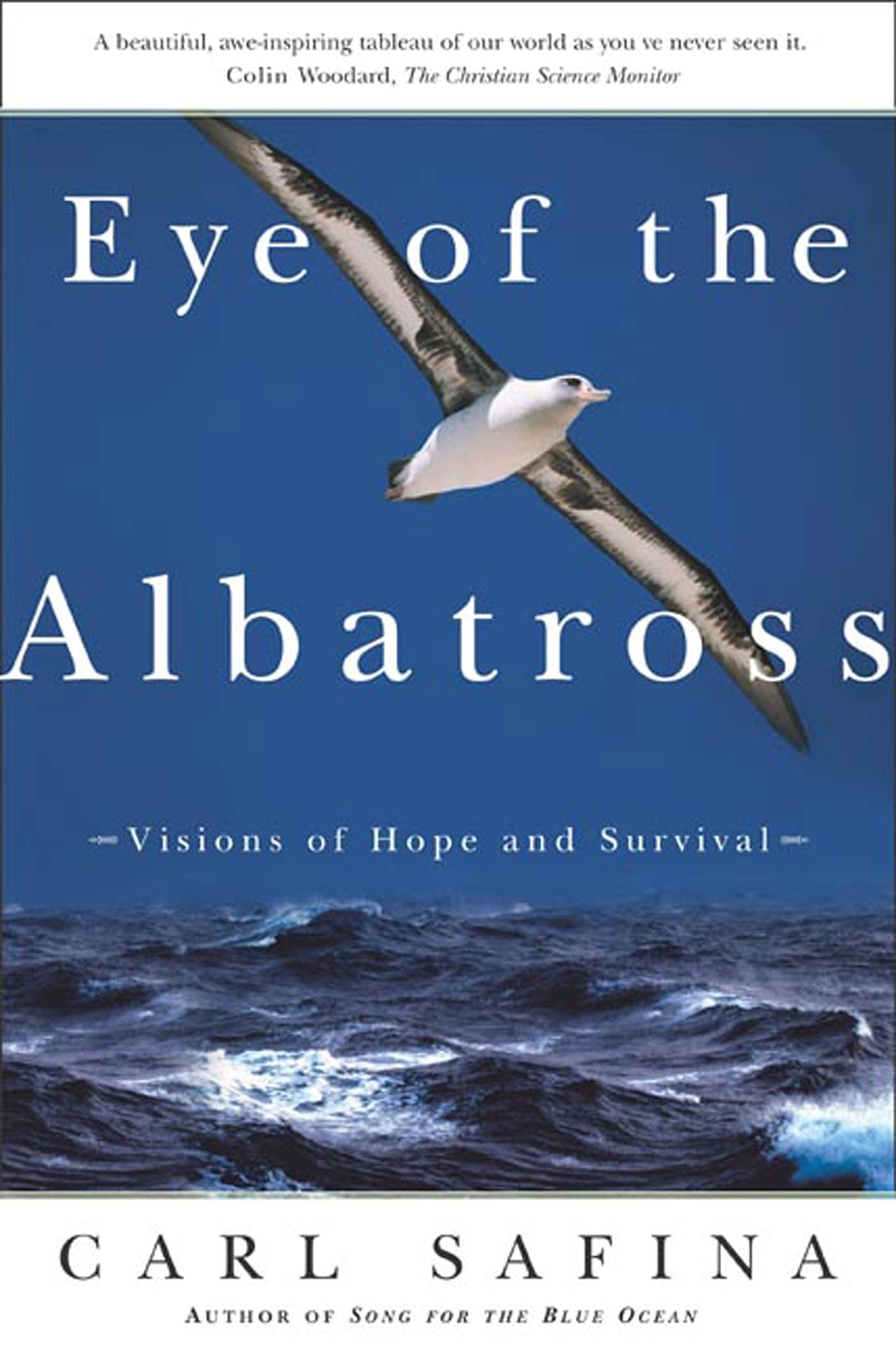 EYE OF THE ALBATROSS book