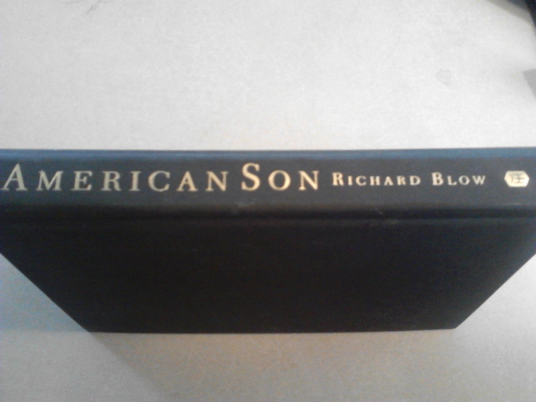 American Son: A Portrait of John F. Kennedy, Jr Memories