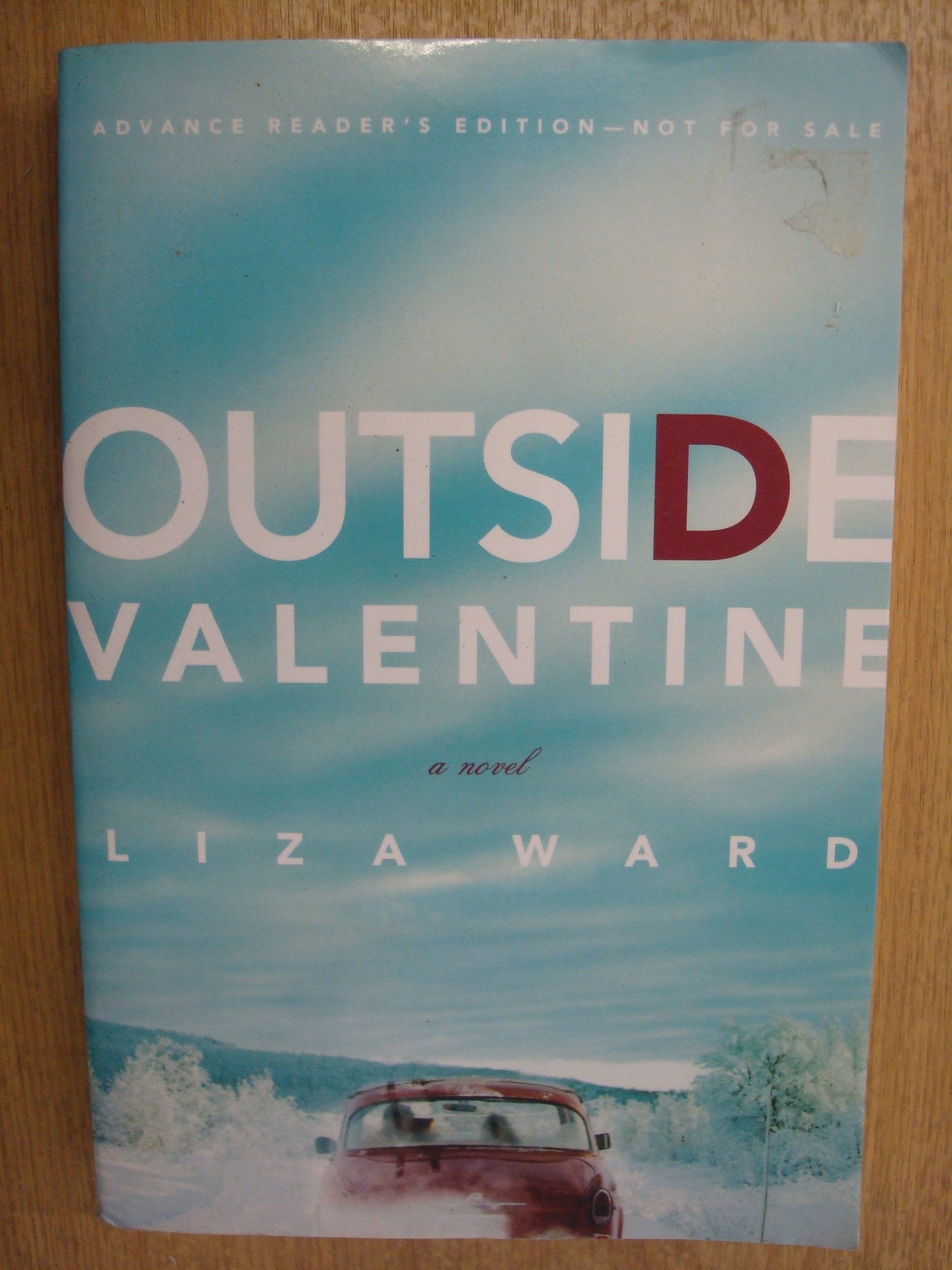 Outside Valentine Contemporary literature Books