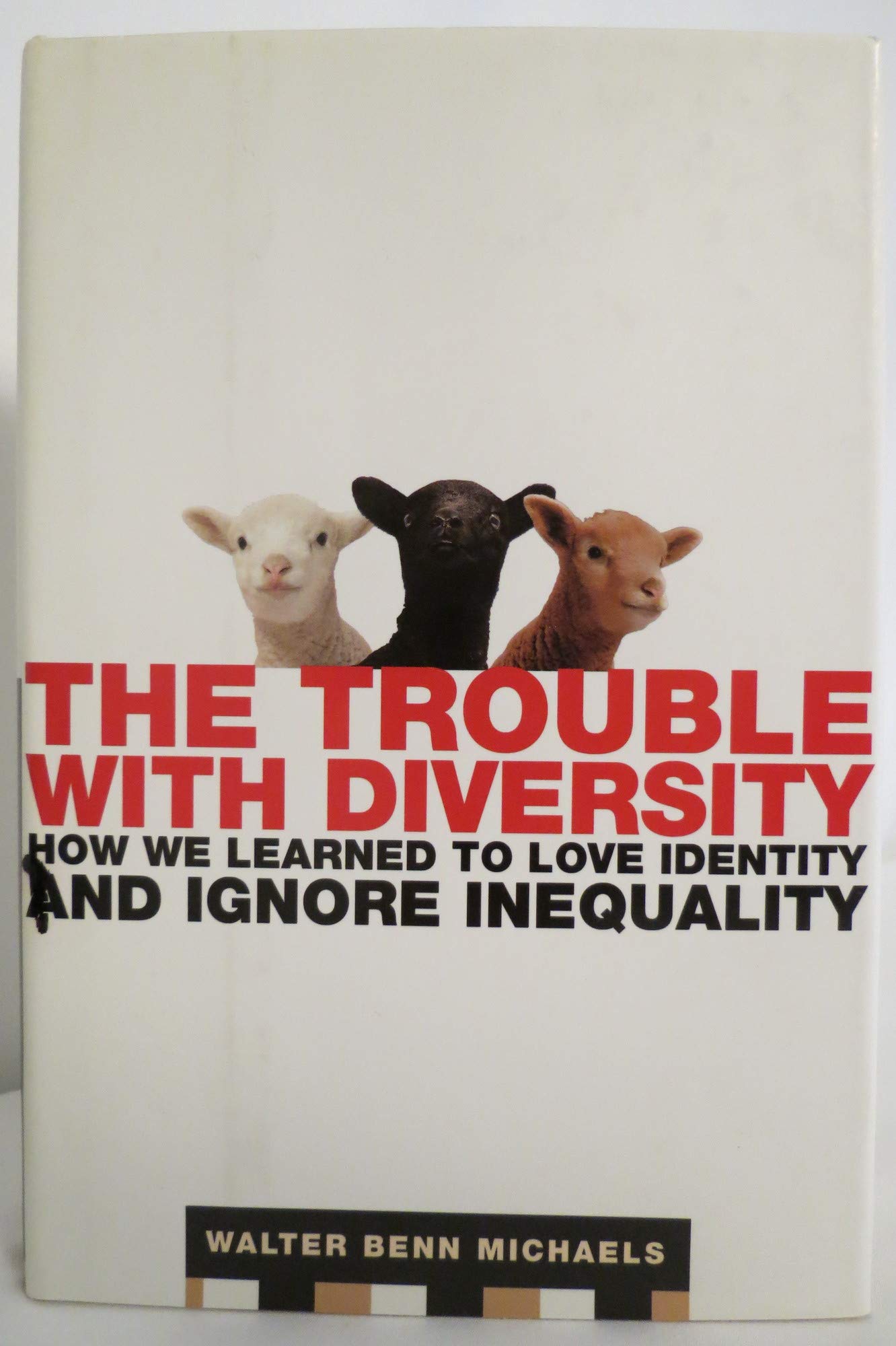 The Trouble With Diversity: How We Learned to Love Identity and Ignore Inequality Social Sciences