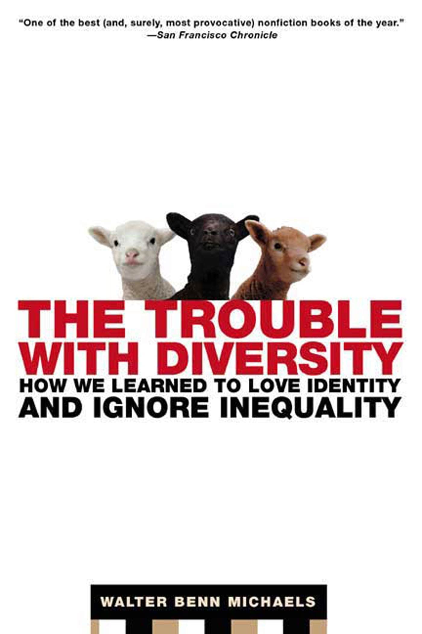 The Trouble With Diversity: How We Learned to Love Identity and Ignore Inequality Social Sciences
