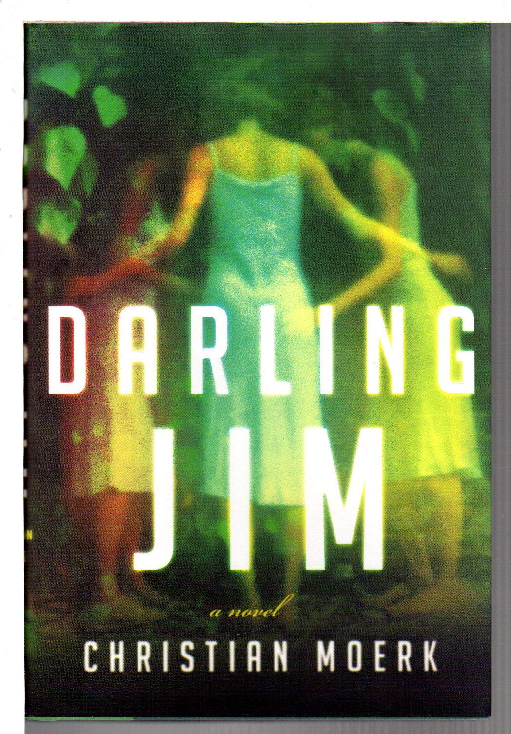 Darling Jim, English edition: A Novel Contemporary literature