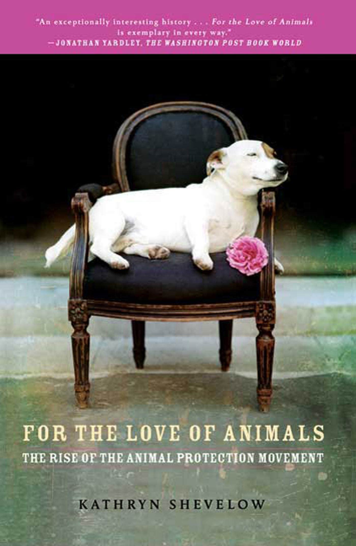 For the Love of Animals Books