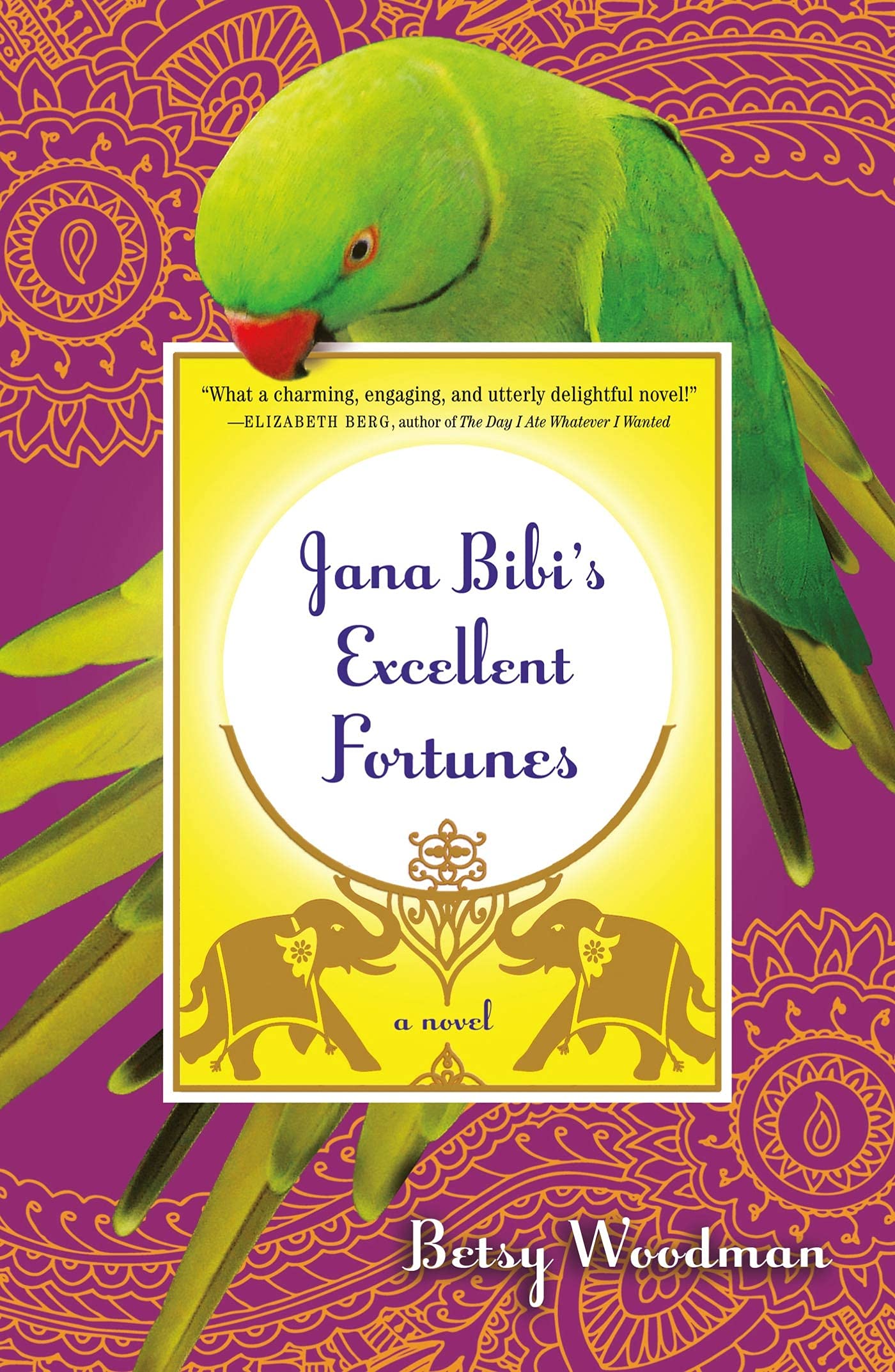 Jana Bibi's Excellent Fortunes Contemporary literature