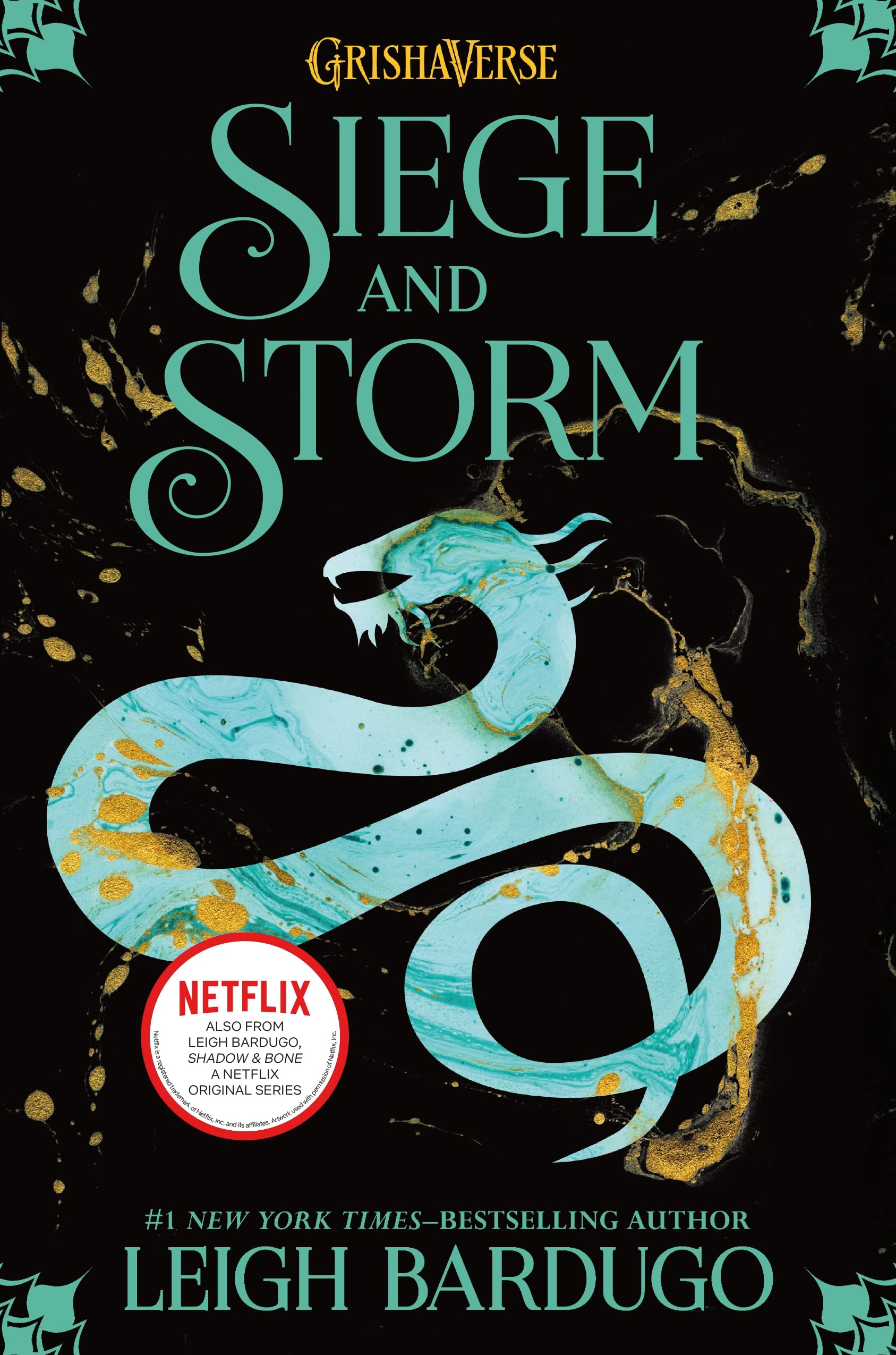 Siege and Storm Fiction books for children