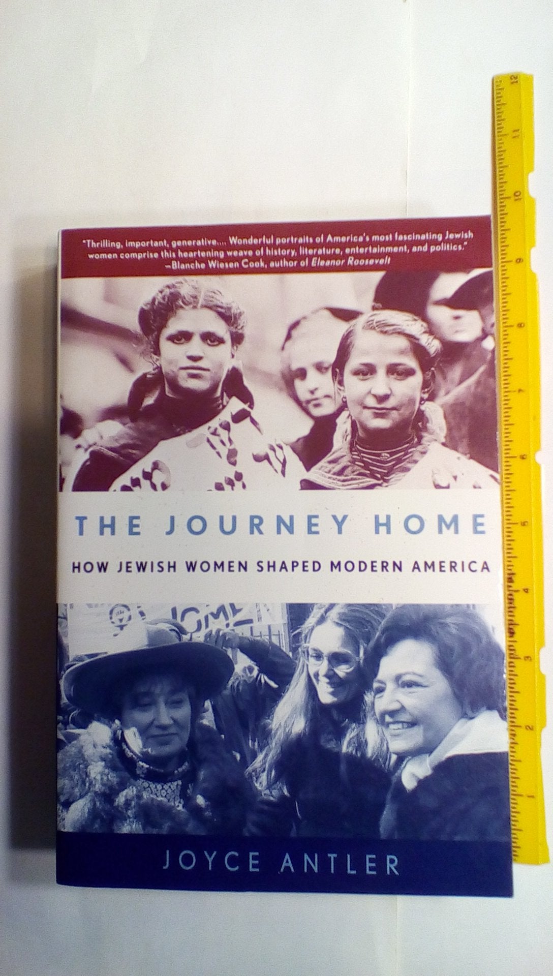 The Journey Home: How Jewish Women Shaped Modern America Social Sciences