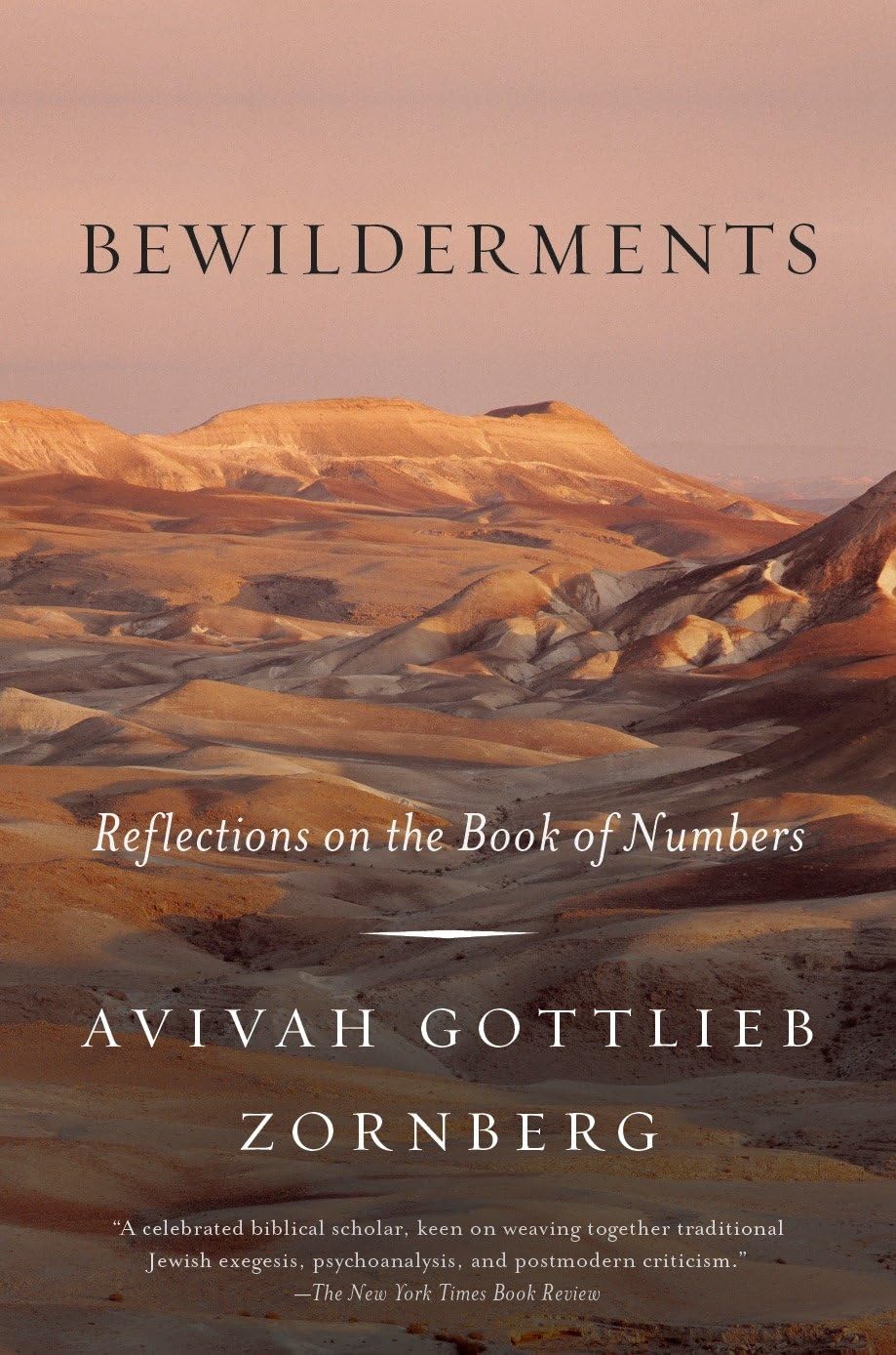 Bewilderments: Reflections on the Book of Numbers Social Sciences