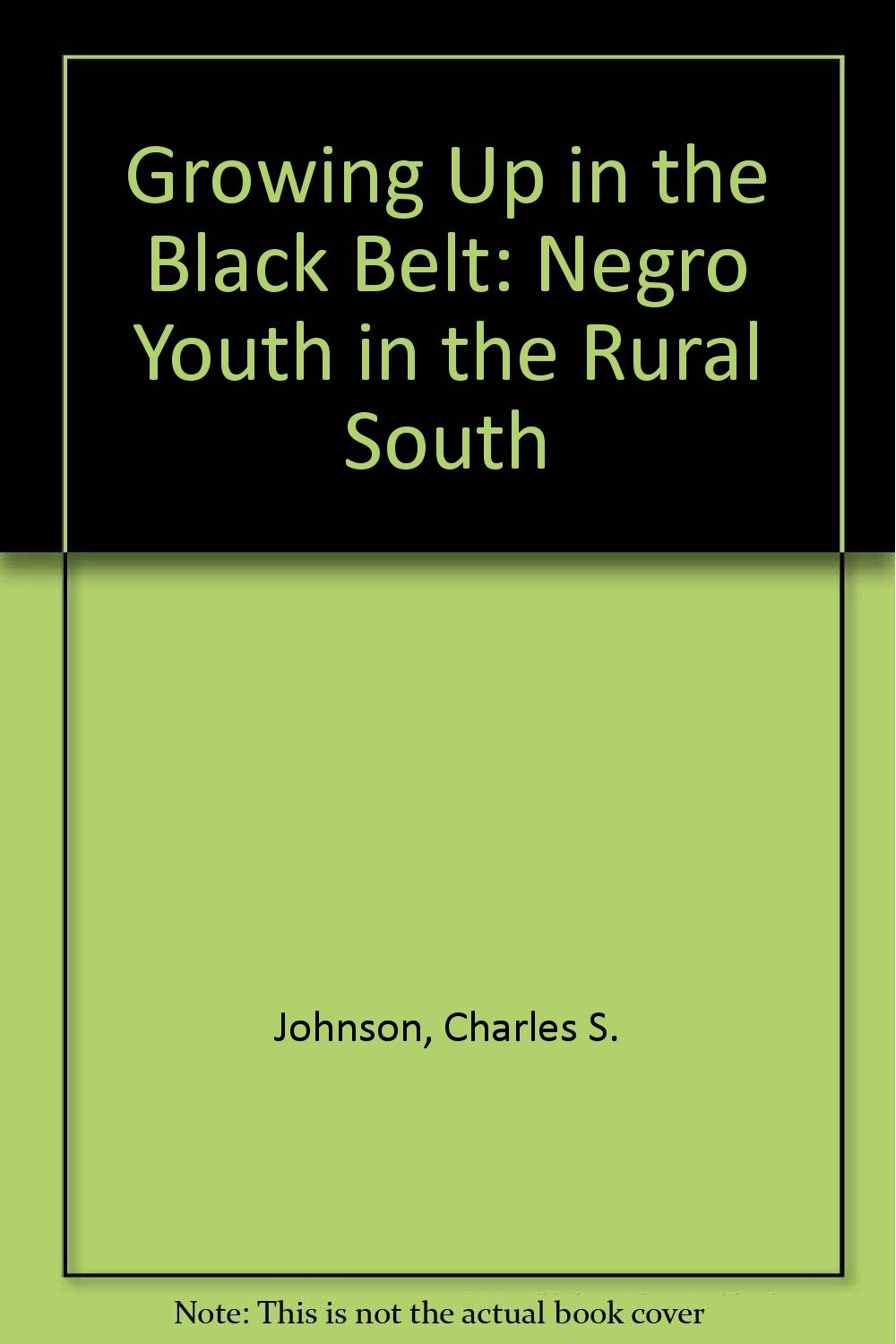 Growing Up in the Black Belt: Negro Youth in the Rural South book