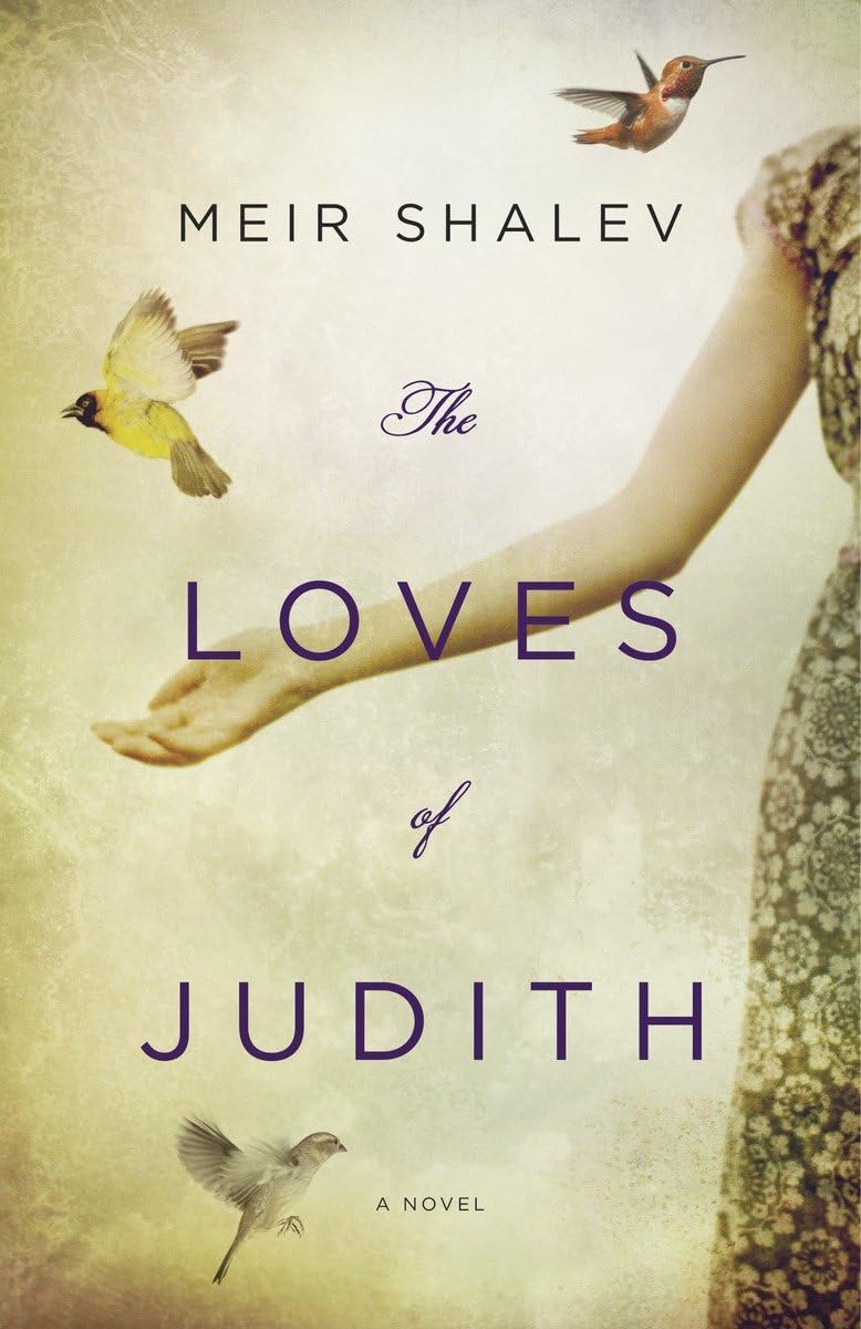 The Loves of Judith: A Novel Contemporary literature