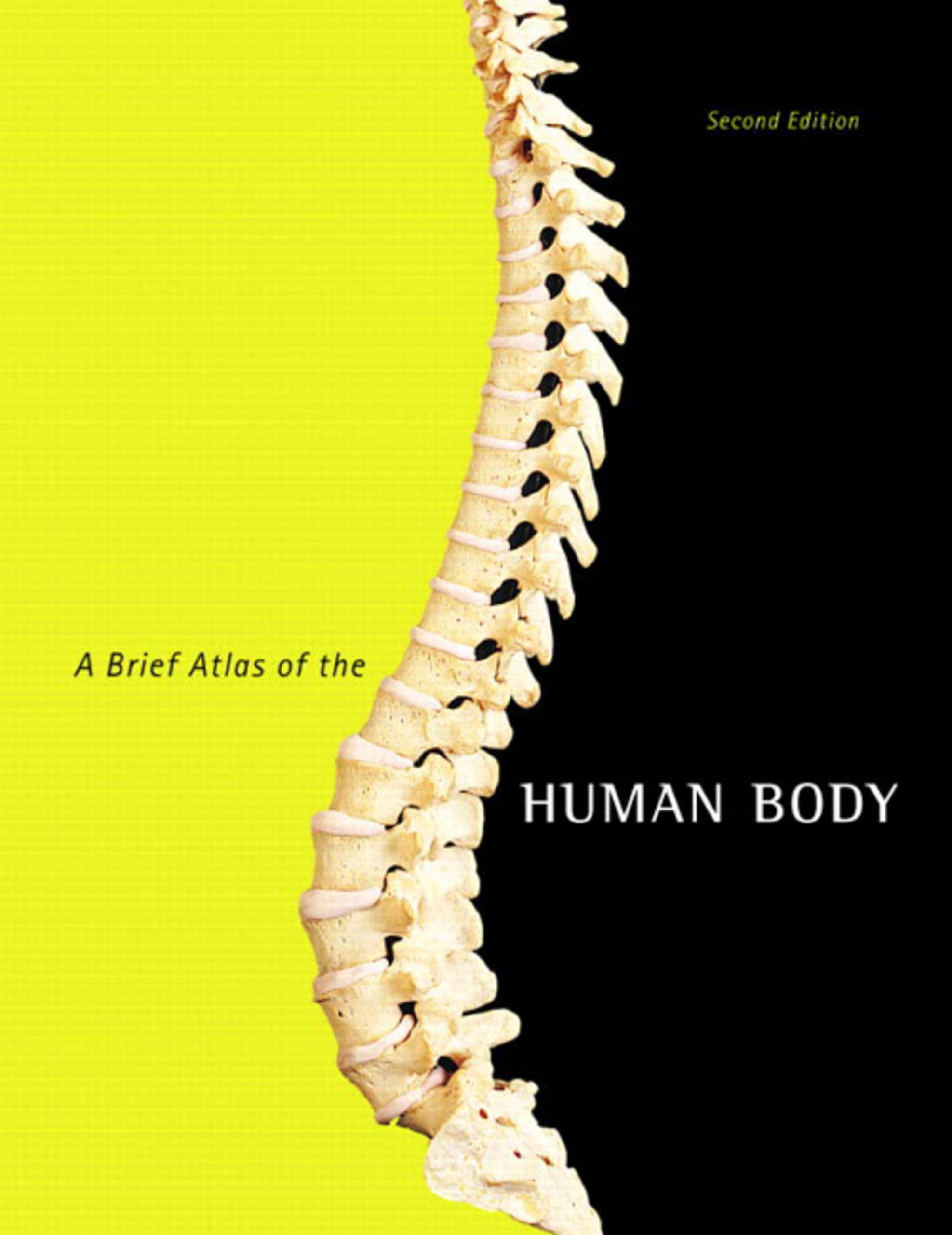 Brief Atlas of the Human Body, a (Valuepack Only) Medicine