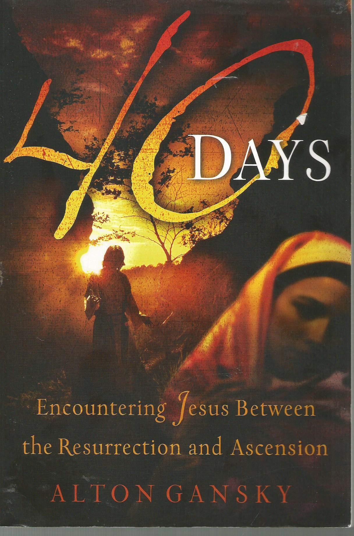 40 Days: Encountering Jesus Between the Resurrection And Ascension Religion & Esotericism