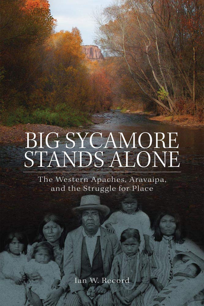 Big Sycamore Stands Alone: The Western Apaches, Aravaipa, and the Struggle for Place book