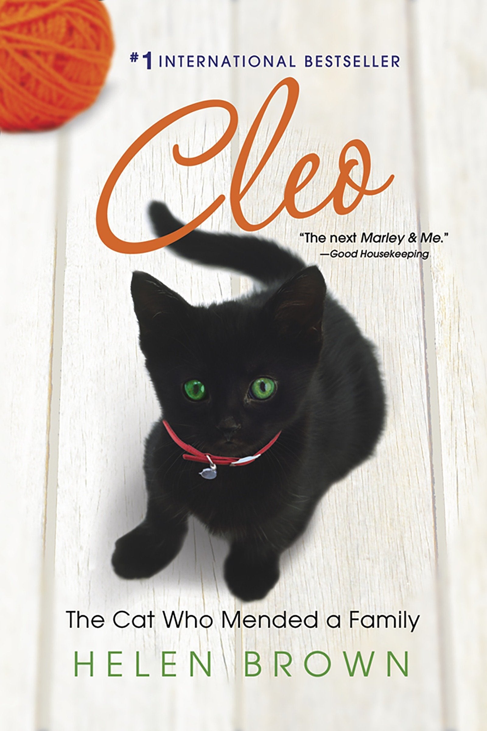 Cleo: The Cat Who Mended a Family Social Sciences