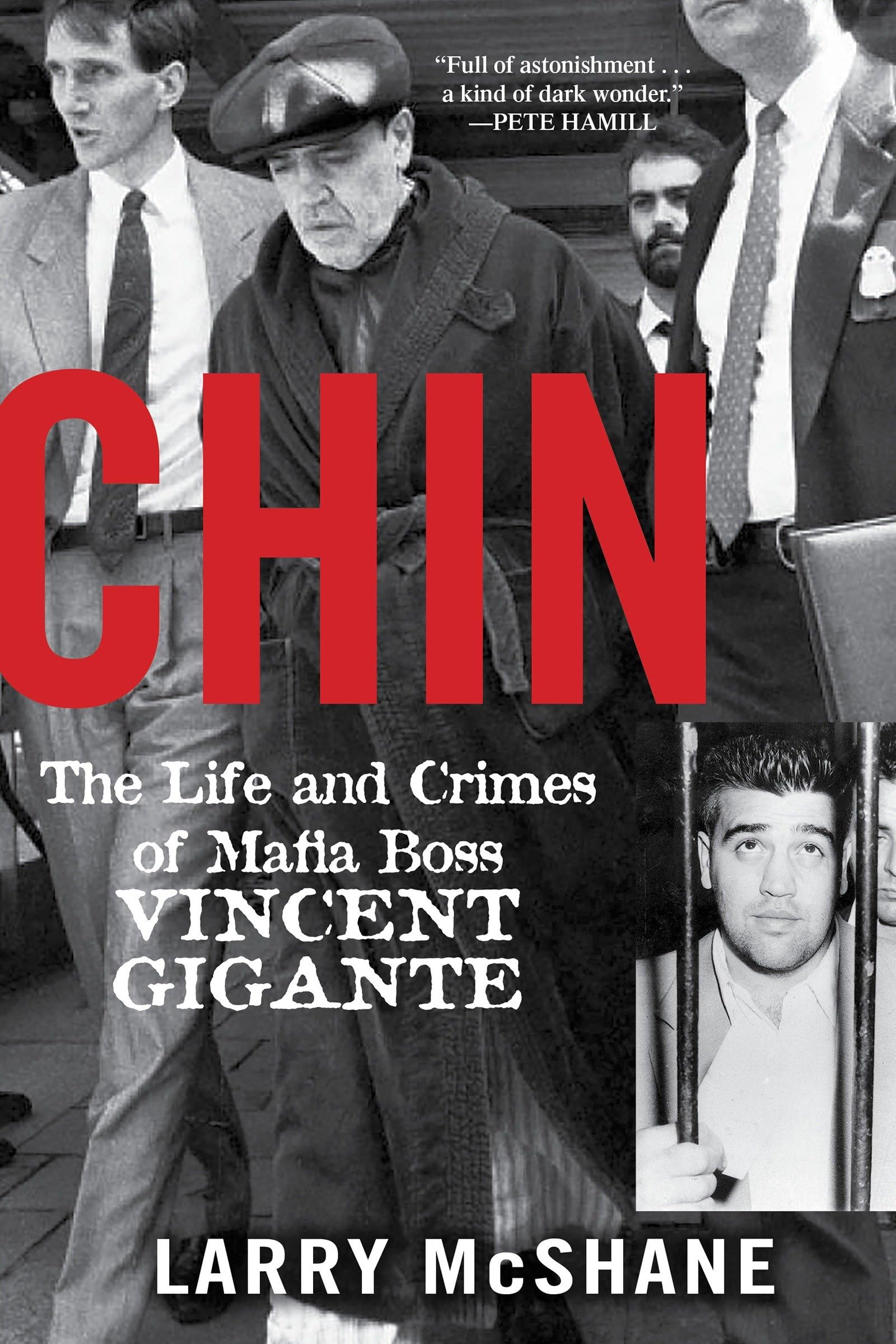 Chin: The Life and Crimes of Mafia Boss Vincent Gigante book