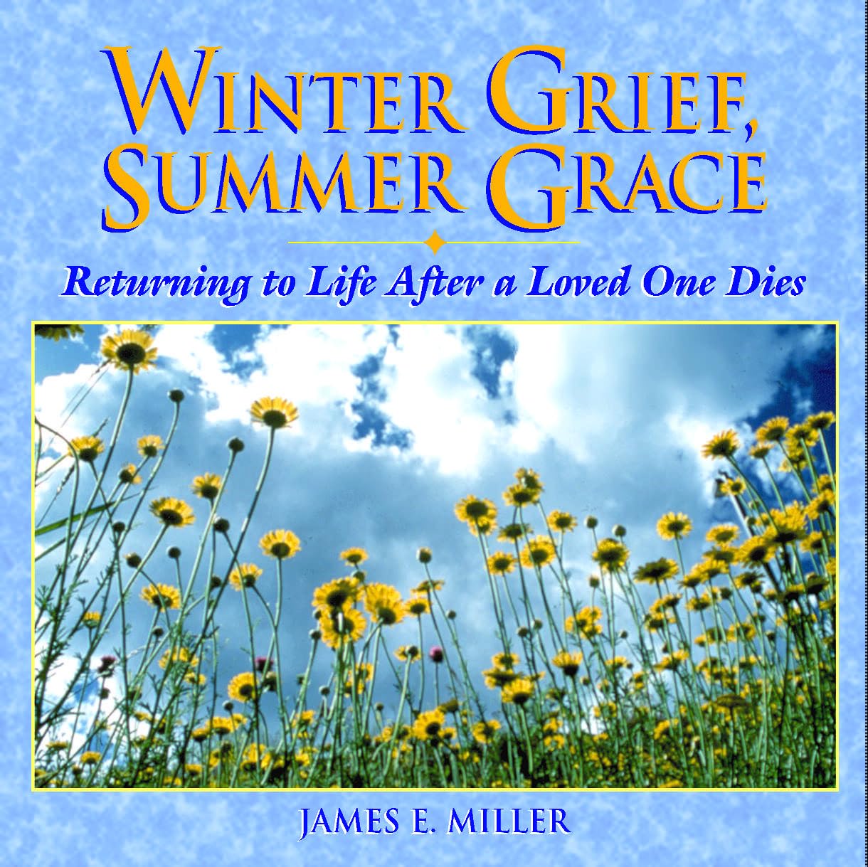 Winter Grief, Summer Grace: Returning to Life After a Loved One Dies (Willowgreen Series) Social Sciences