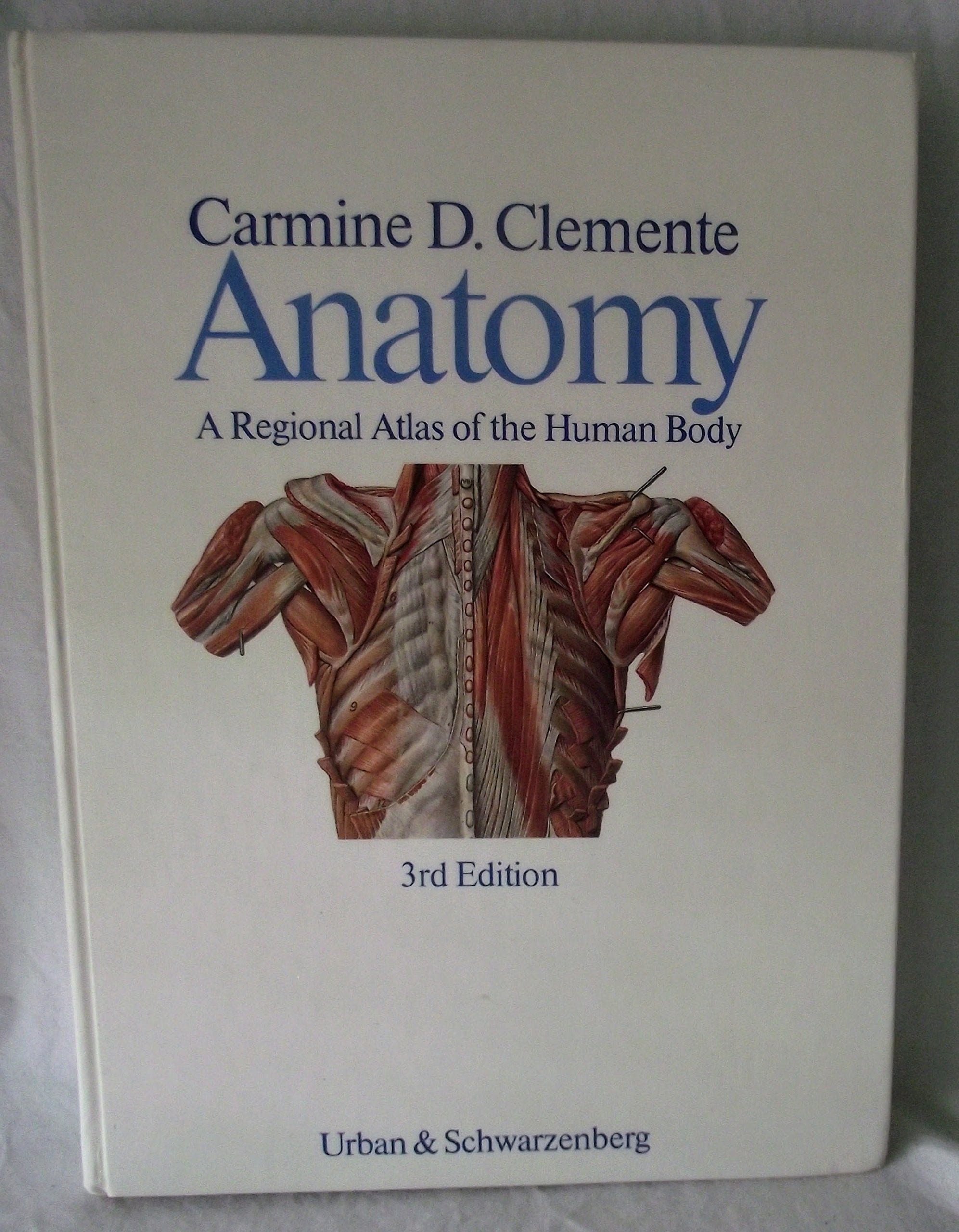 Anatomy: A Regional Atlas of the Human Body Medicine