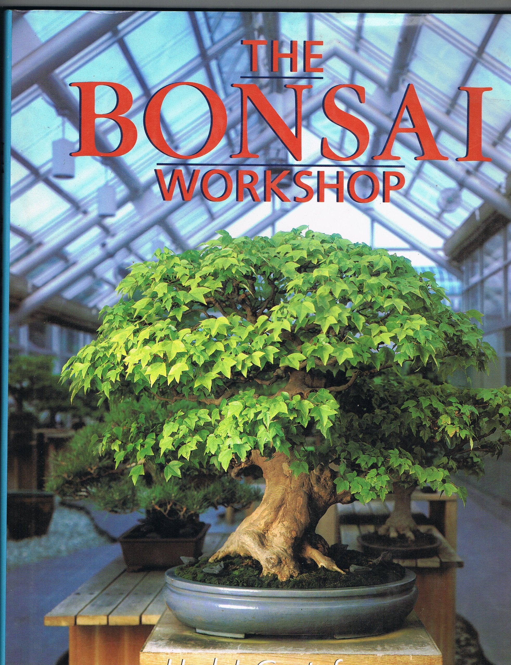 Product Image: The Bonsai Workshop