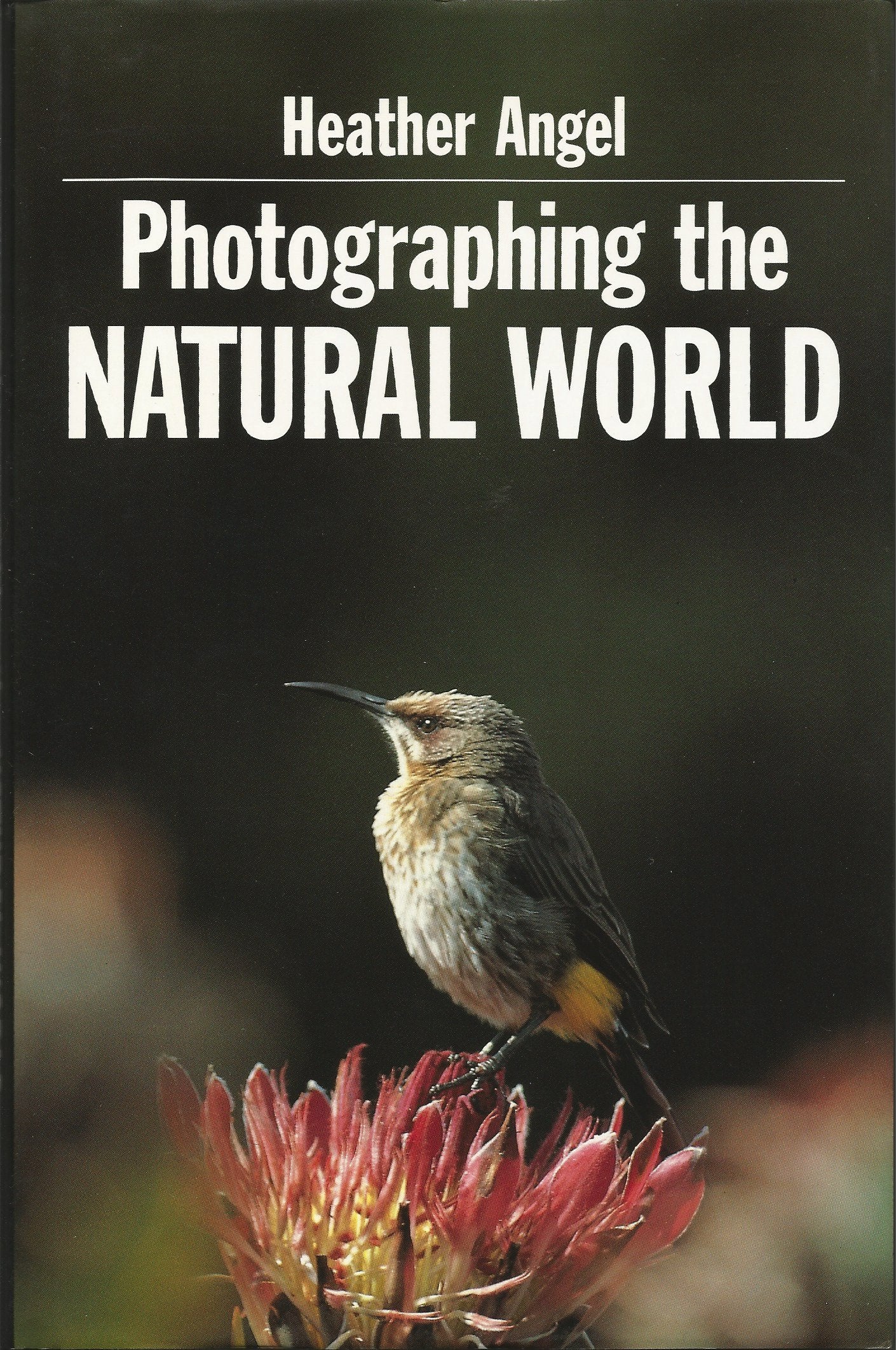 Photographing the Natural World Photography