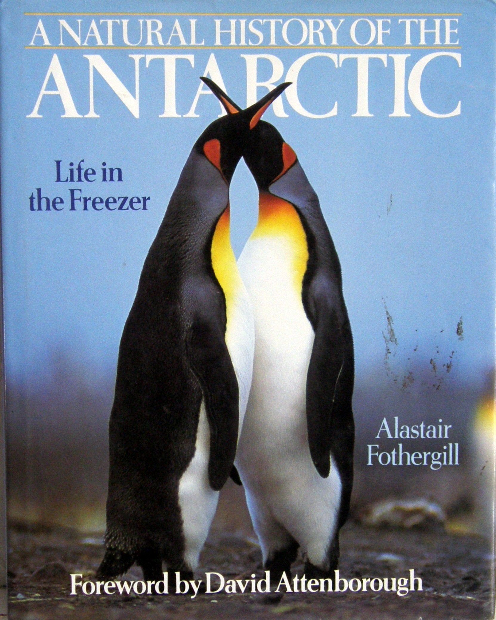 A Natural History of the Antarctic: Life in the Freezer Business & Technology