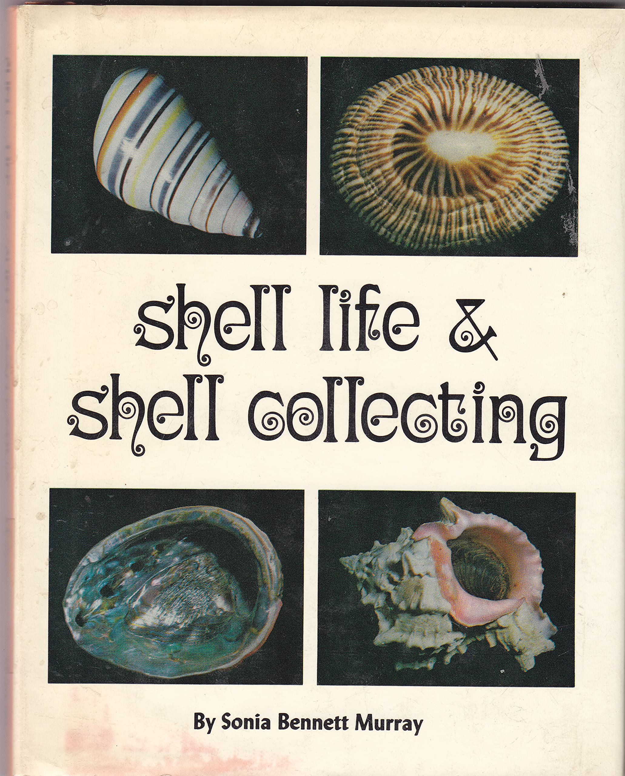 Product Image: Shell life & shell collecting