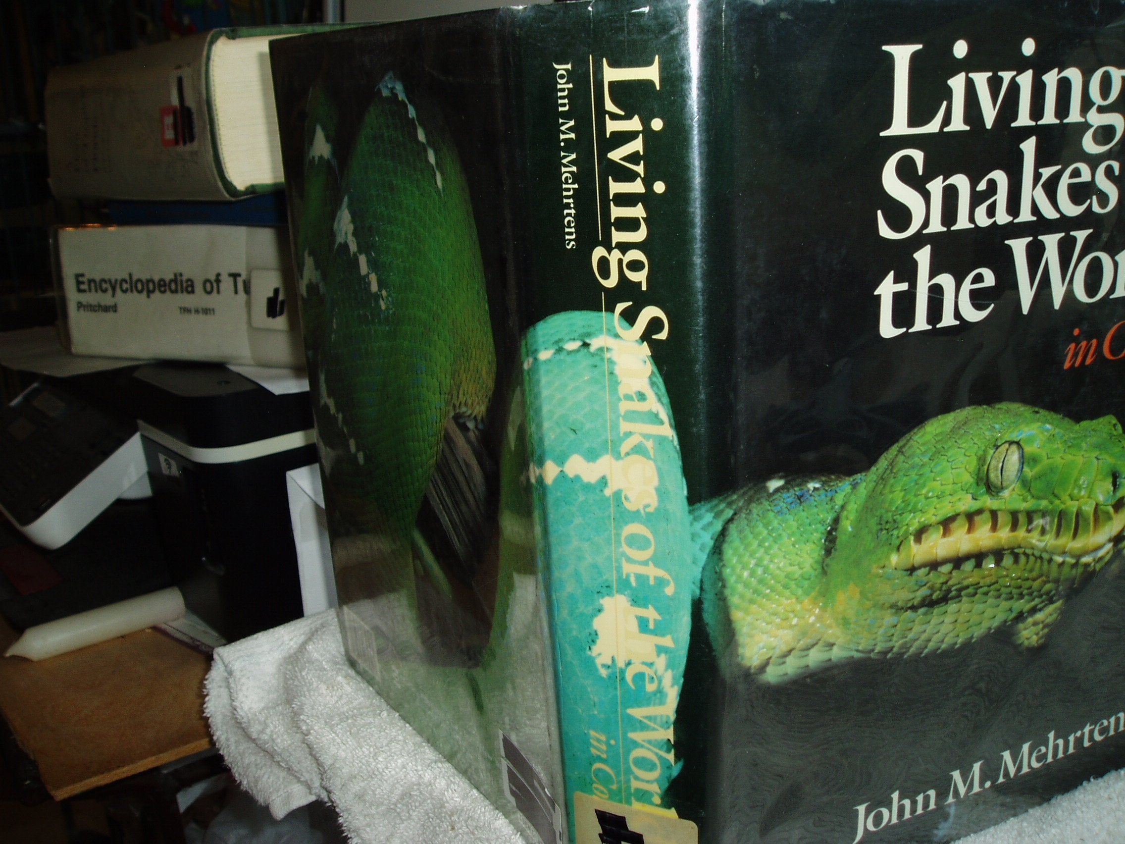 Living Snakes of the World in Color Mathematics