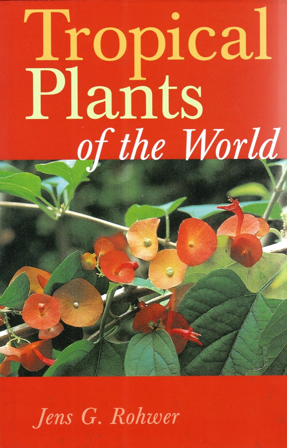 Tropical Plants of the World Mathematics
