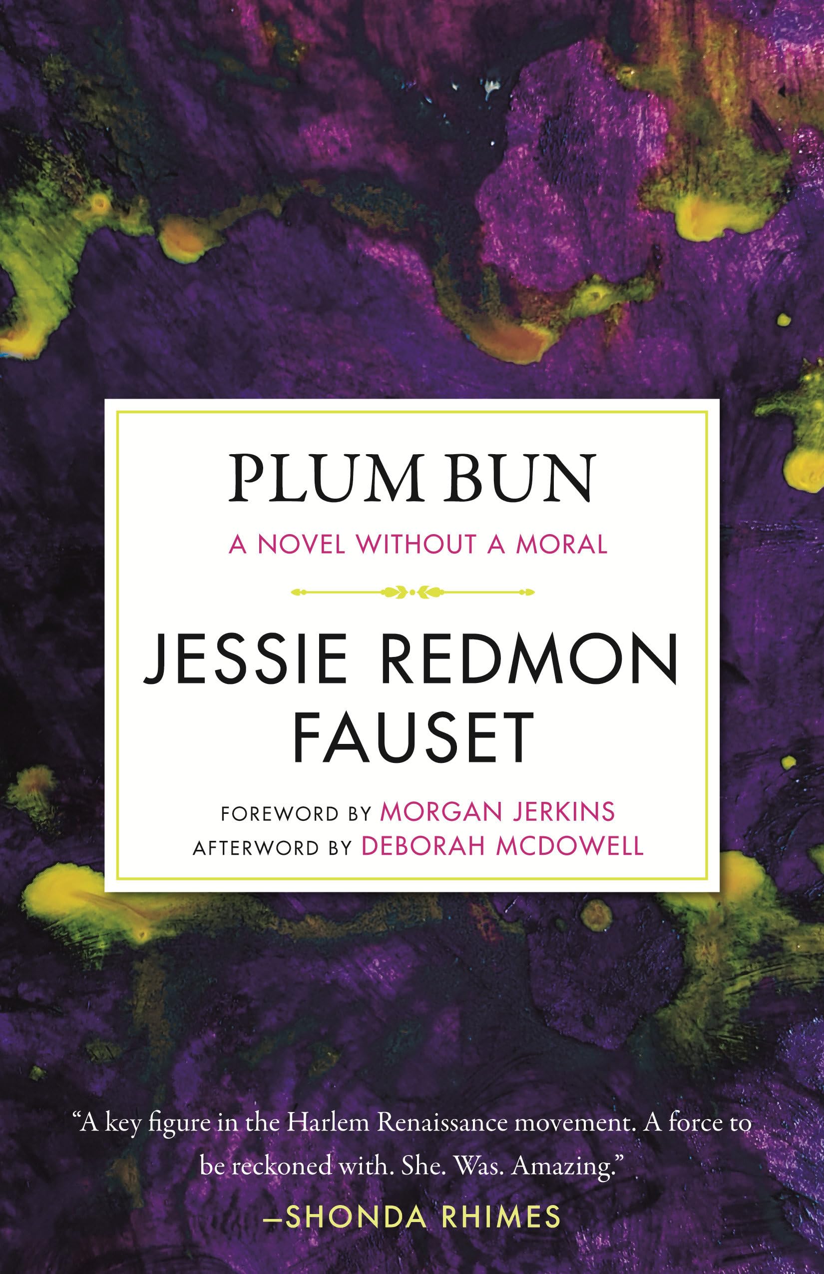 Plum Bun: A Novel without a Moral (Celebrating Black Women Writers, Band 7) Contemporary literature