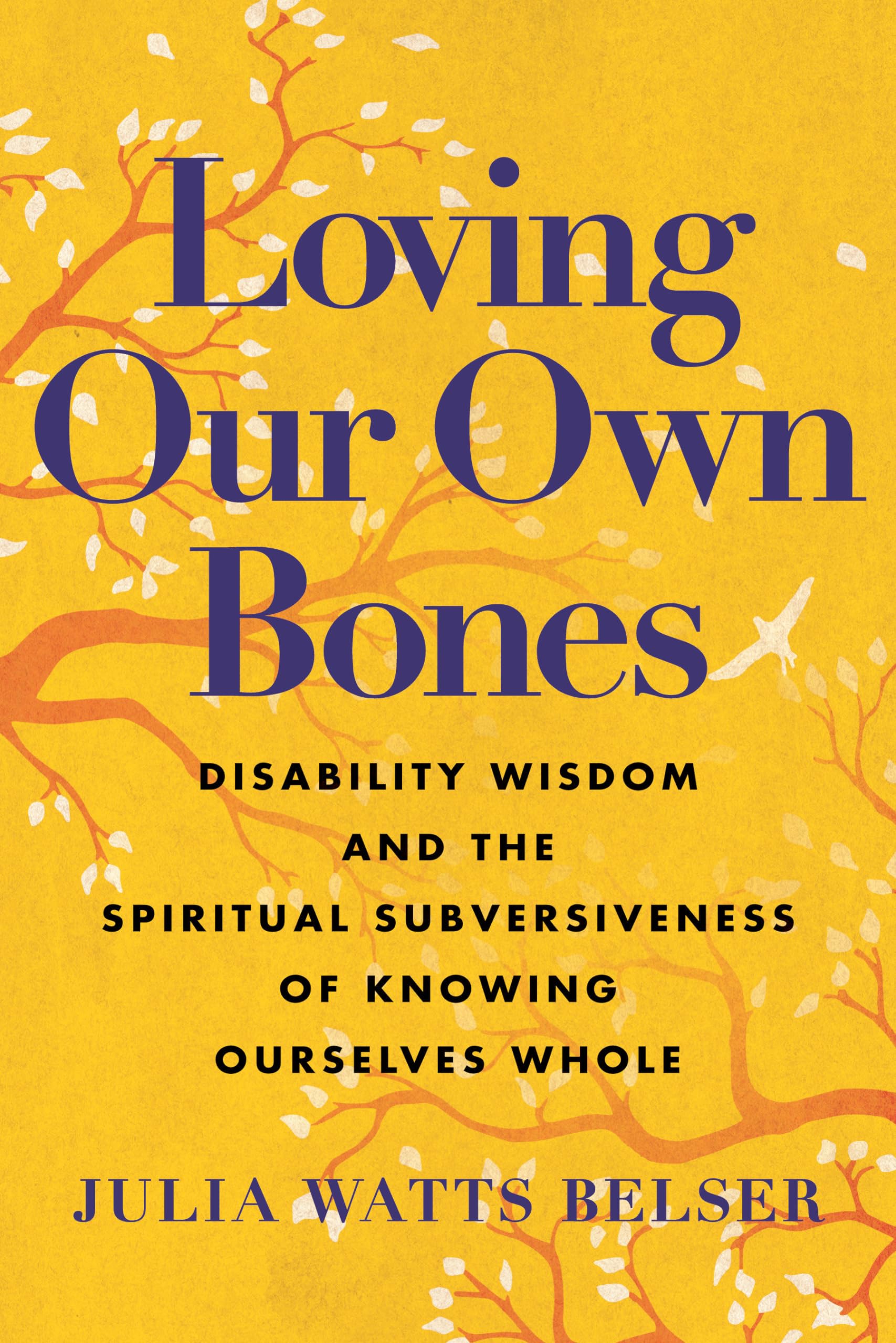 Loving Our Own Bones: Disability Wisdom and the Spiritual Subversiveness of Knowing Ourselves Whole Books