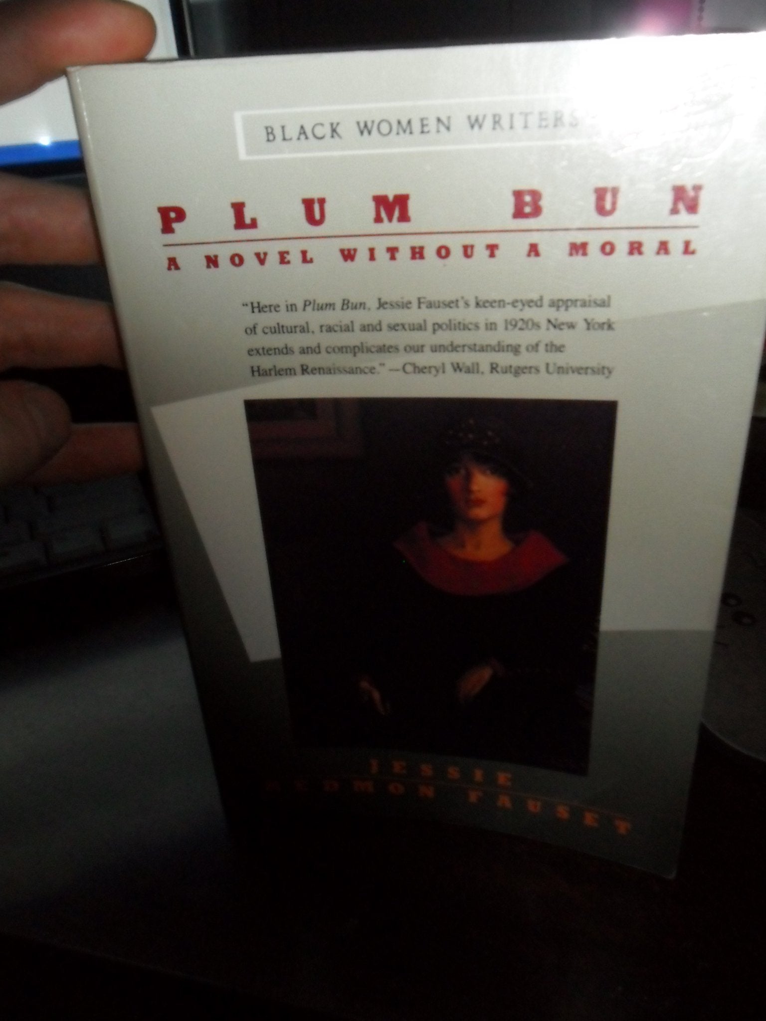 Plum Bun: A Novel Without a Moral (BLACK WOMEN WRITER SERIES) Contemporary literature