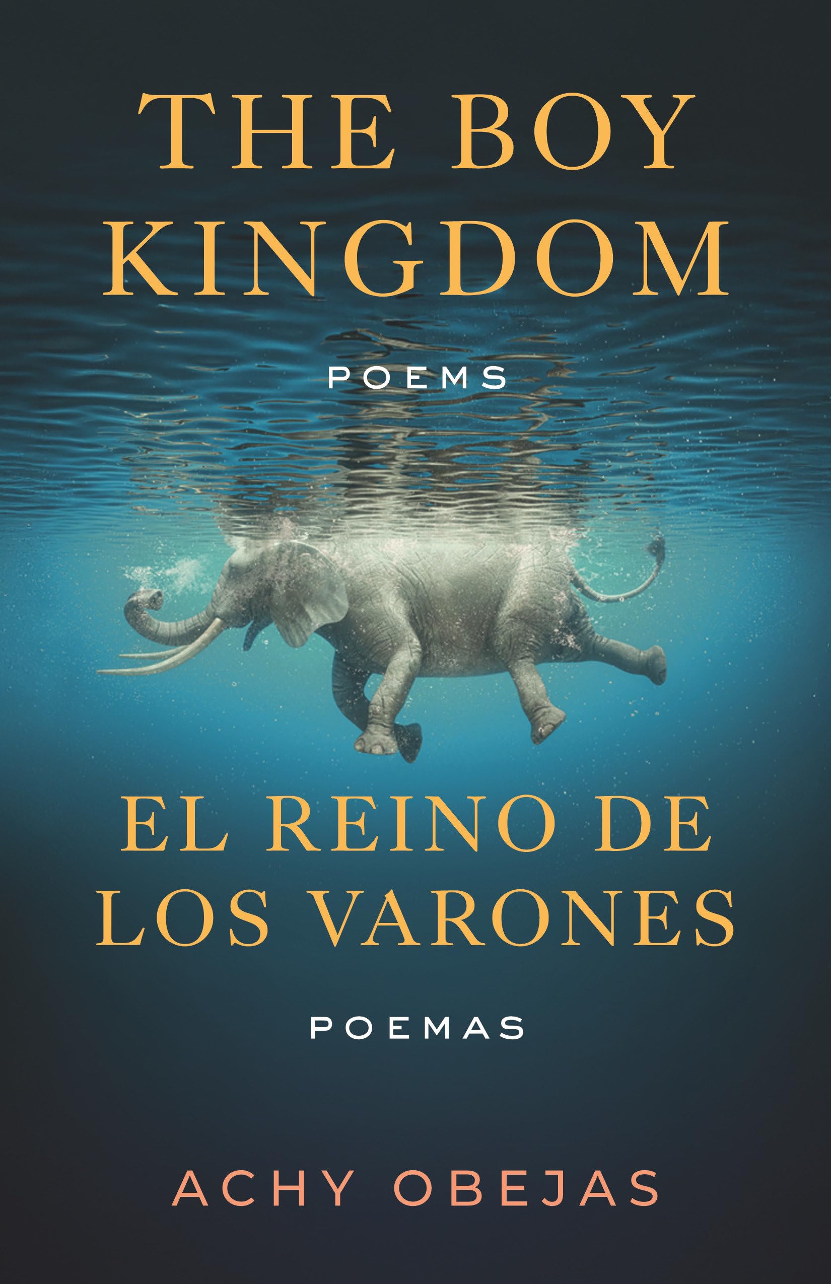 The Boy Kingdom / El reino de los varones: Poems / Poemas (Raised Voices) Poetry