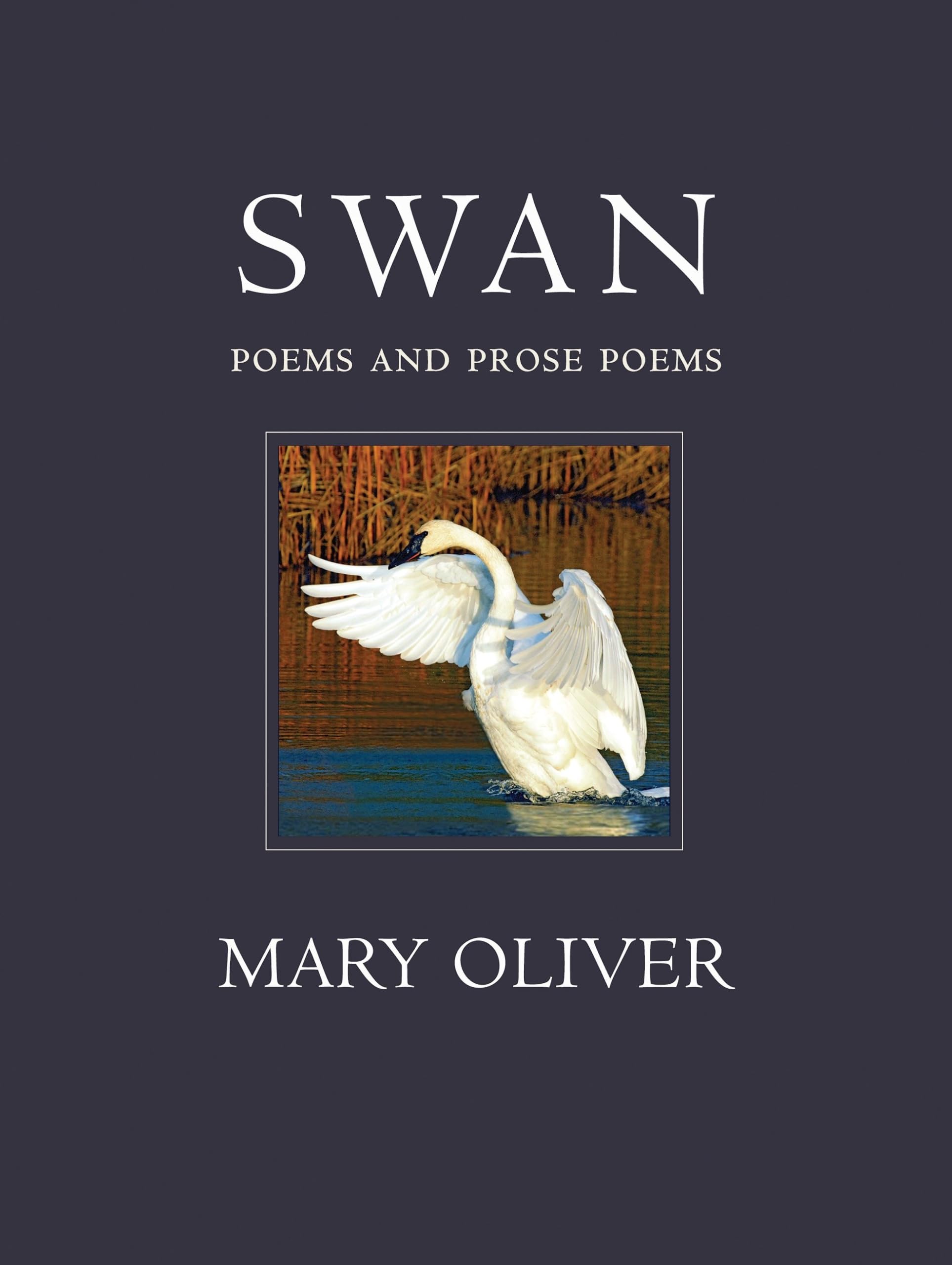 Swan: Poems and Prose Poems Poetry