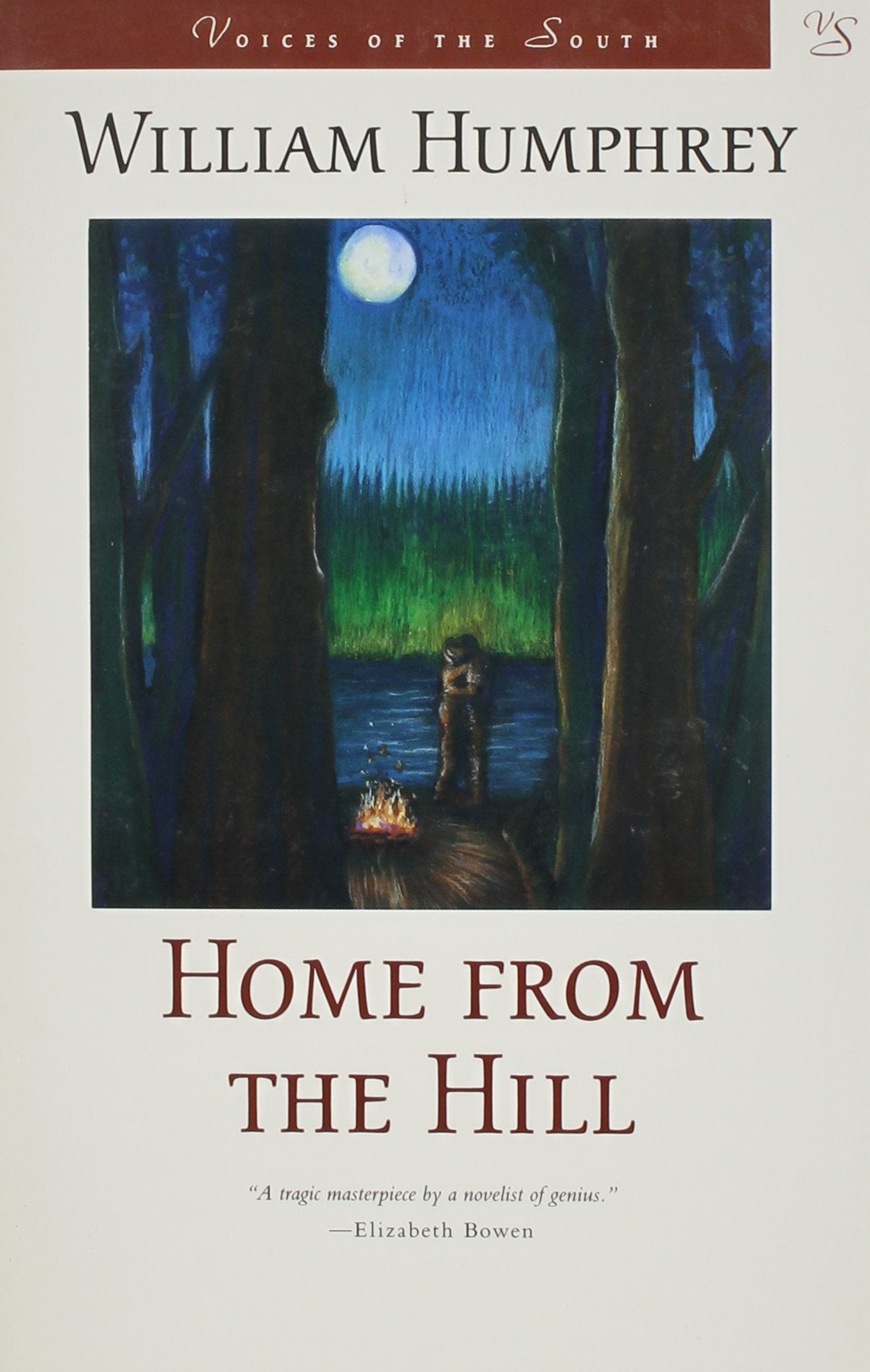 Home from the Hill (Voices of the South) Contemporary literature