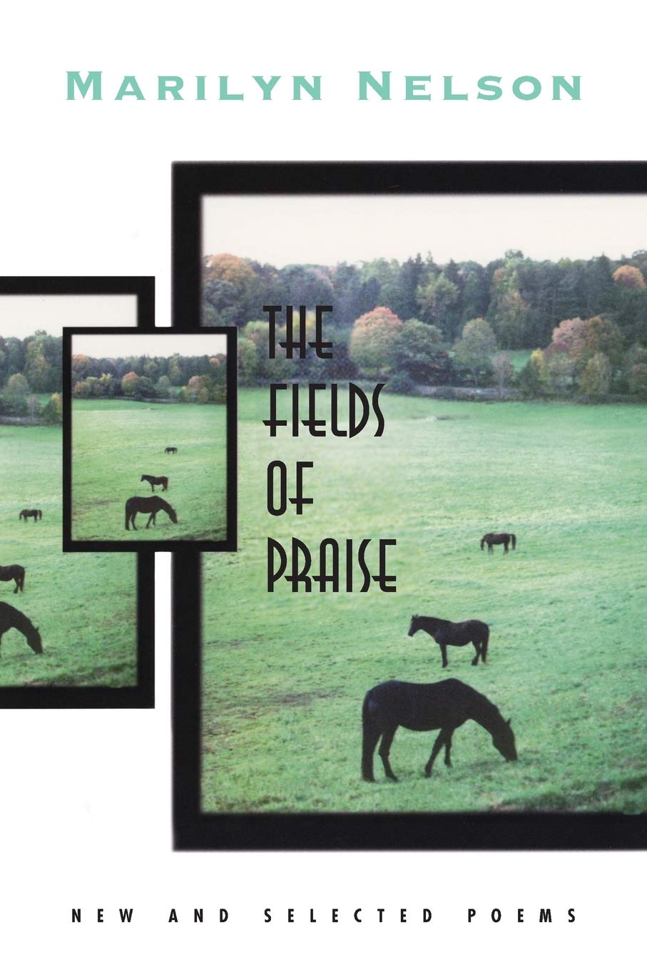 Fields of Praise: New and Selected Poems Social Sciences