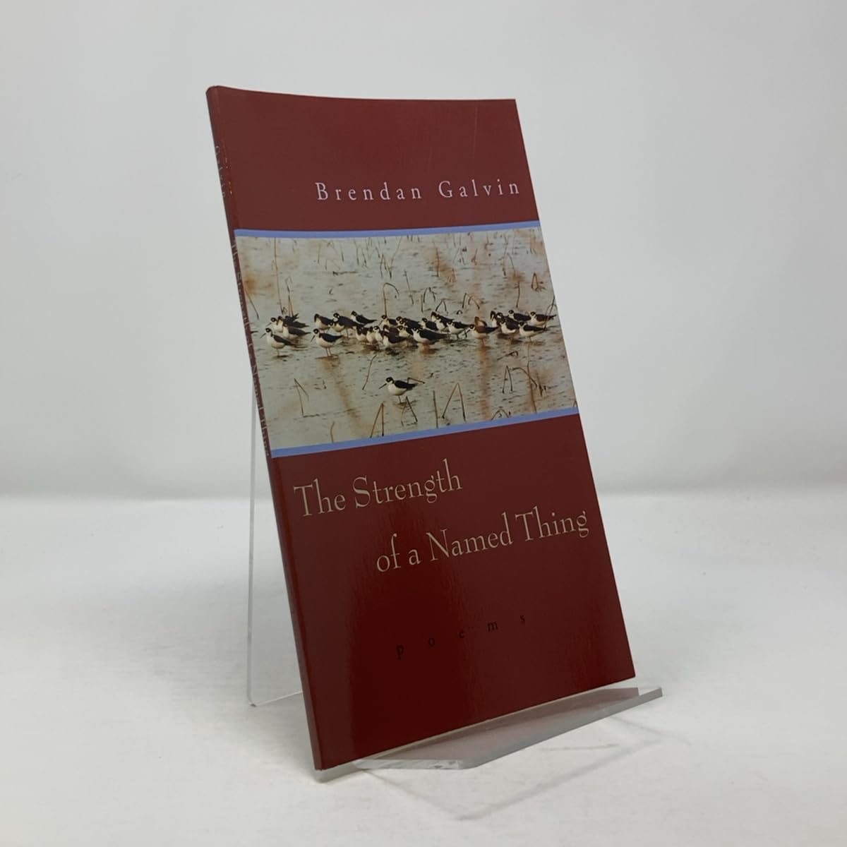 The Strength of a Named Thing: Poems Poetry