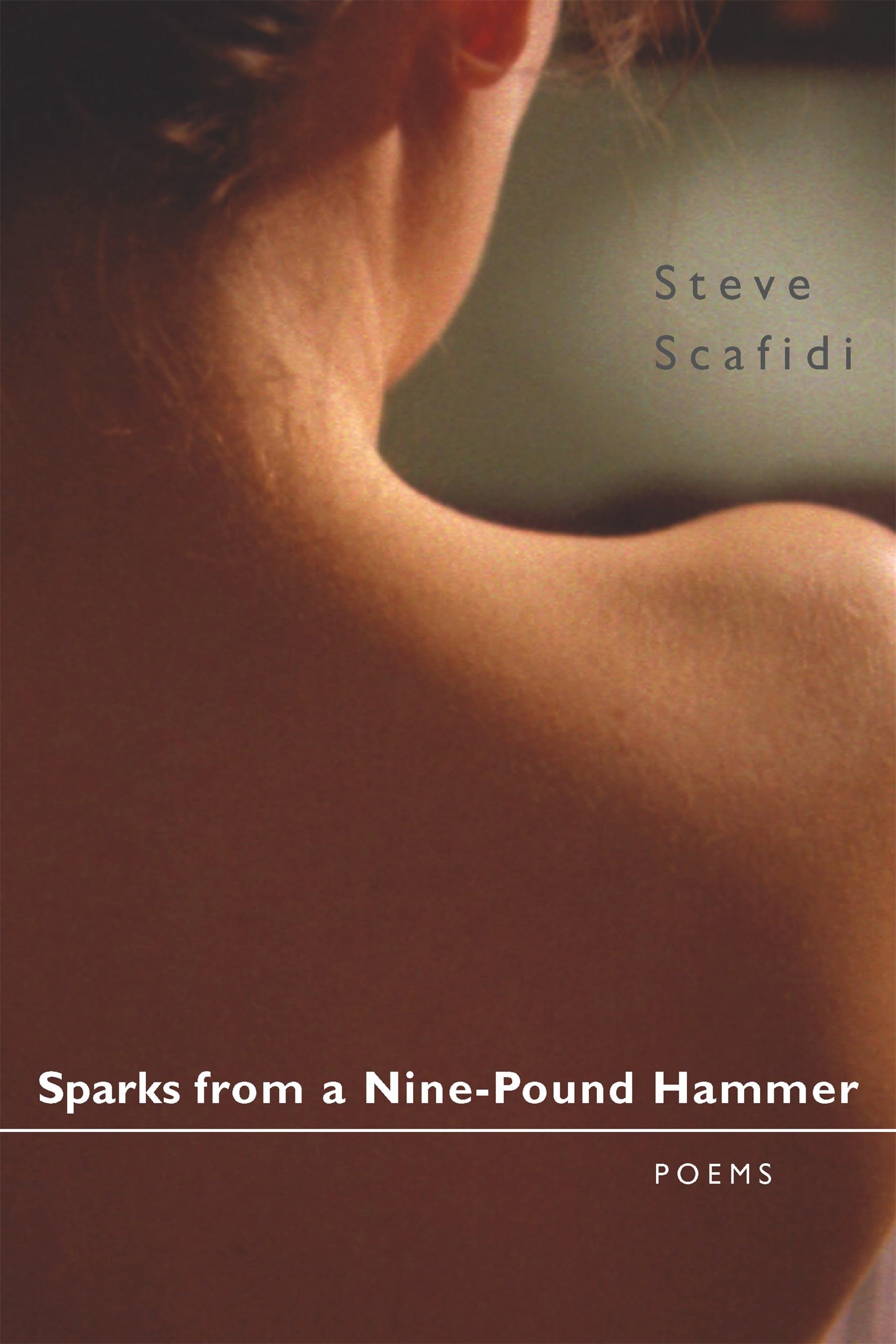 Sparks from a Nine-Pound Hammer: Poems (Southern Messenger Poets) Poetry
