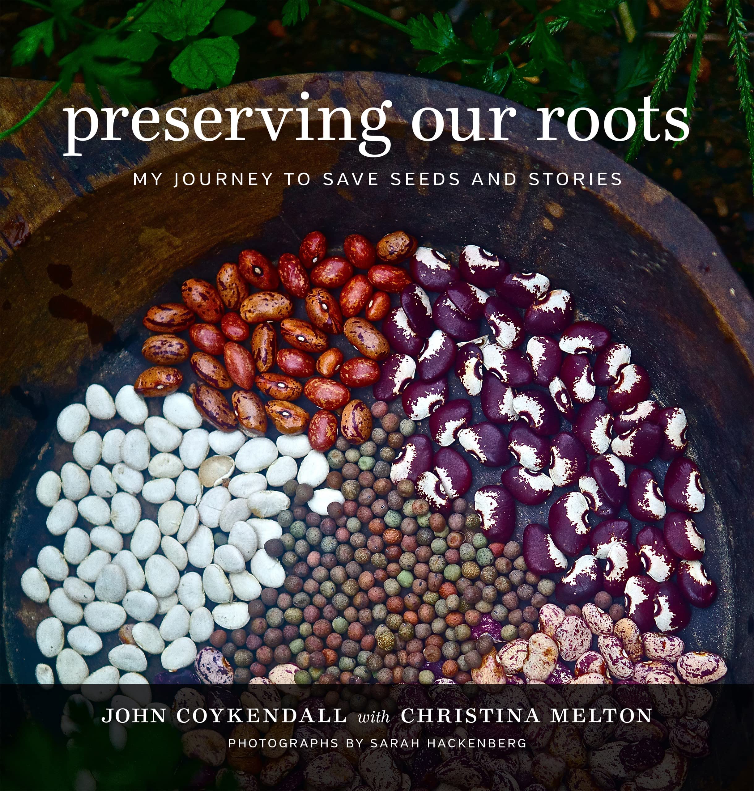 Preserving Our Roots: My Journey to Save Seeds and Stories (Southern Table) Mathematics