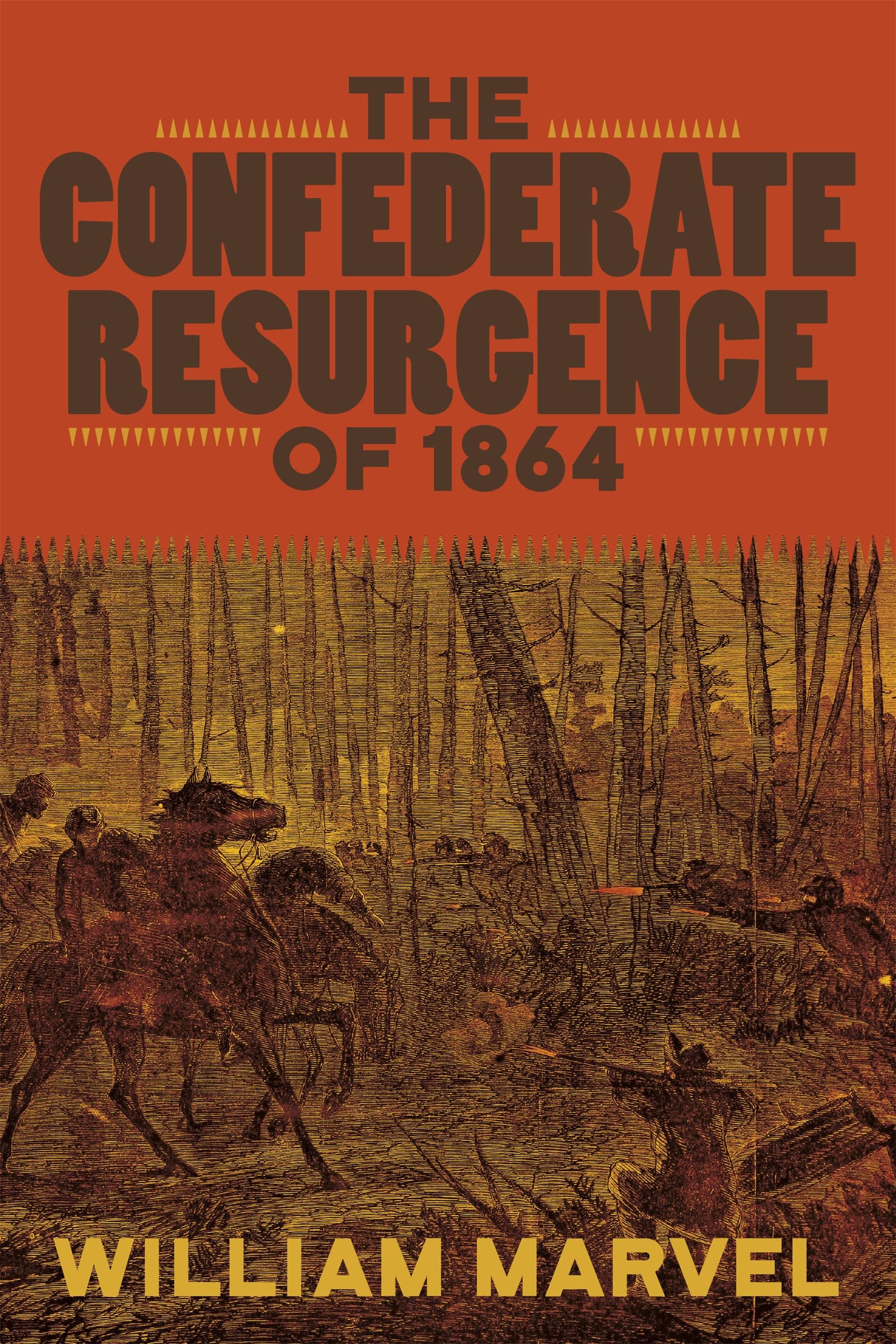 The Confederate Resurgence of 1864 (Conflicting Worlds: New Dimensions of the American Civil War) Politics & History