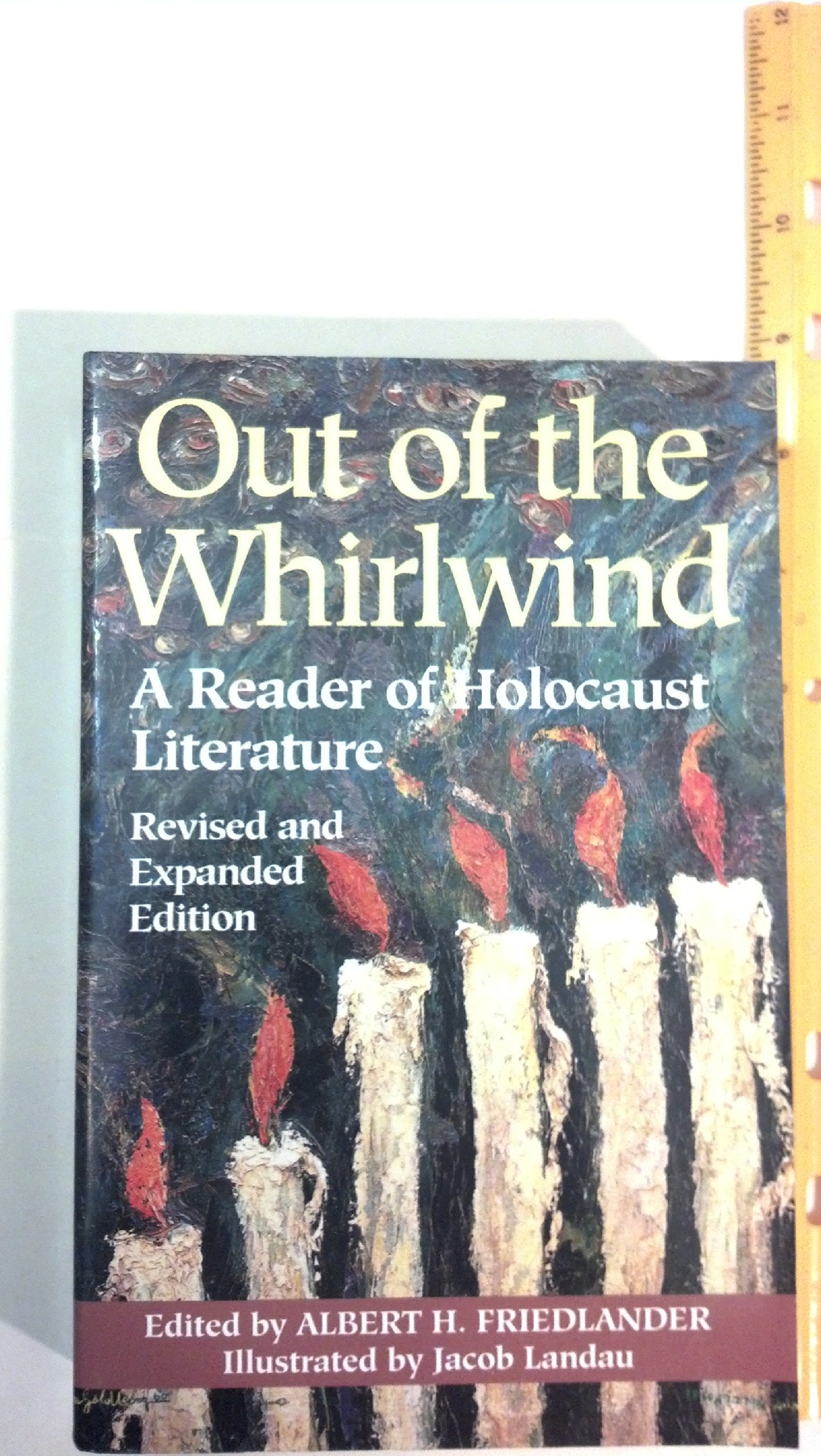 Out of the Whirlwind: A Reader of Holocaust Literature Contemporary literature