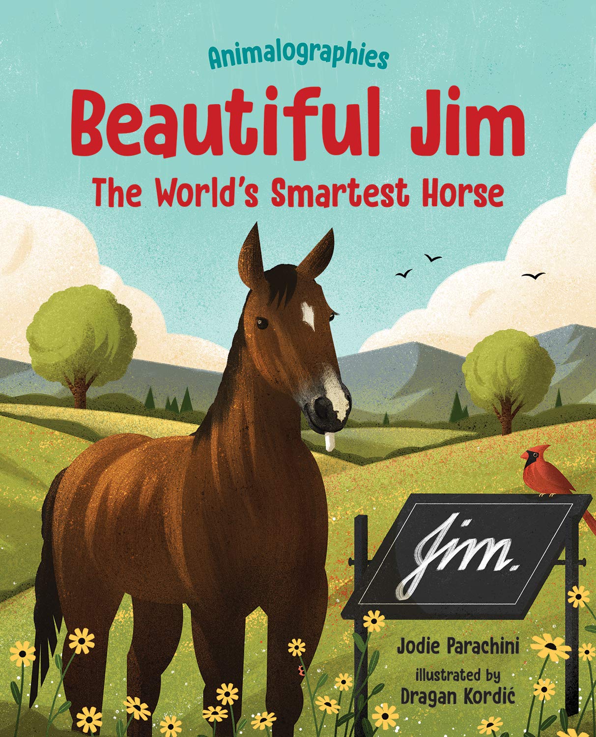 Beautiful Jim: The World's Smartest Horse (Animalographies) Non-fiction