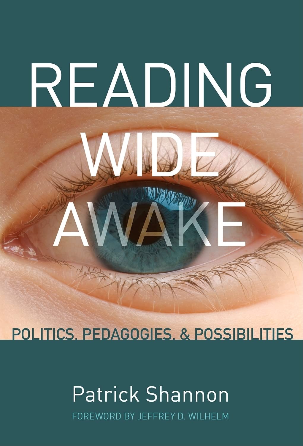 Reading Wide Awake: Politics, Pedagogies, and Possibilities Social Sciences