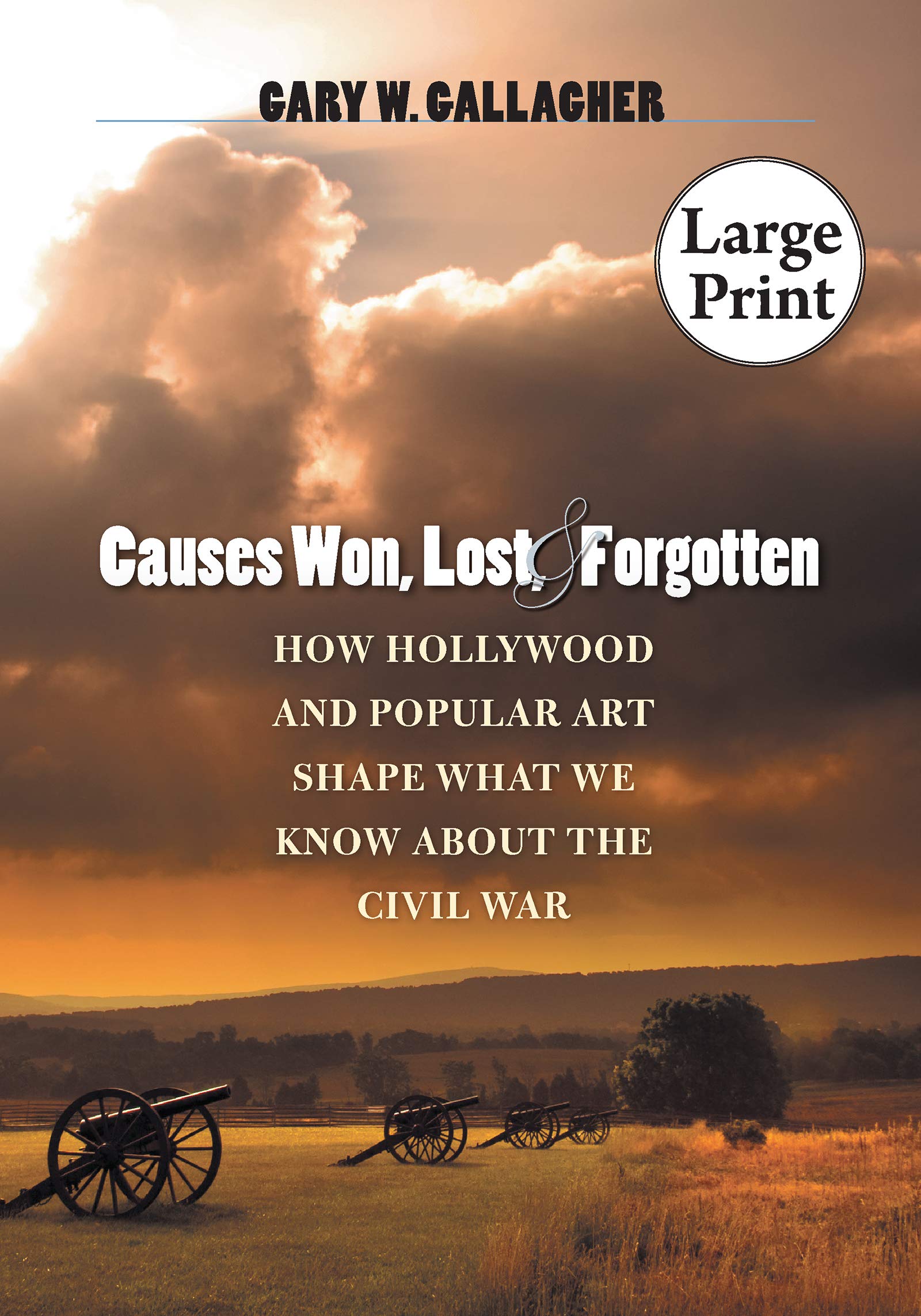 Causes Won, Lost, and Forgotten: How Hollywood & Popular Art Shape What We Know About the Civil War: How Hollywood and Popular Art Shape What We Know ... Janice Brose Lectures in the Civil War Era) Media & Communication
