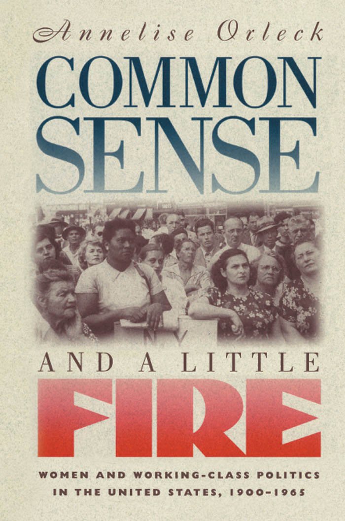 Common Sense and a Little Fire: Women and Working-Class Politics in the United States, 1900-1965 (Gender & American Culture) Social Sciences