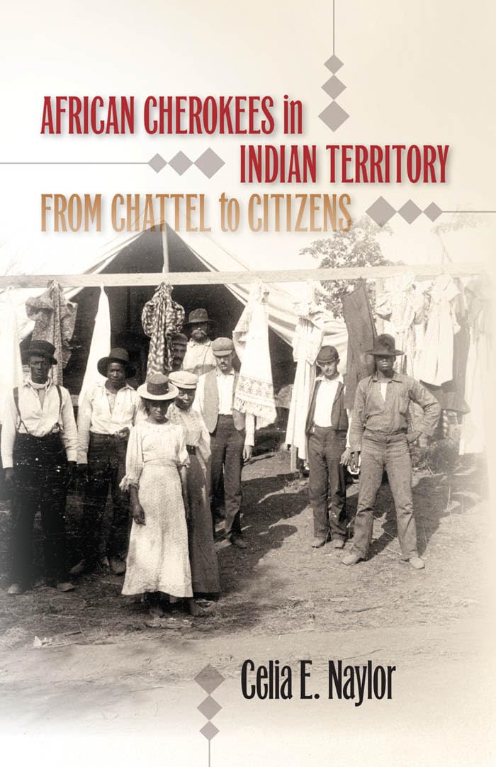 Product Image: African Cherokees in Indian Territory