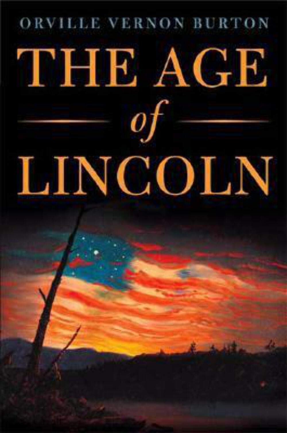 The Age of Lincoln book