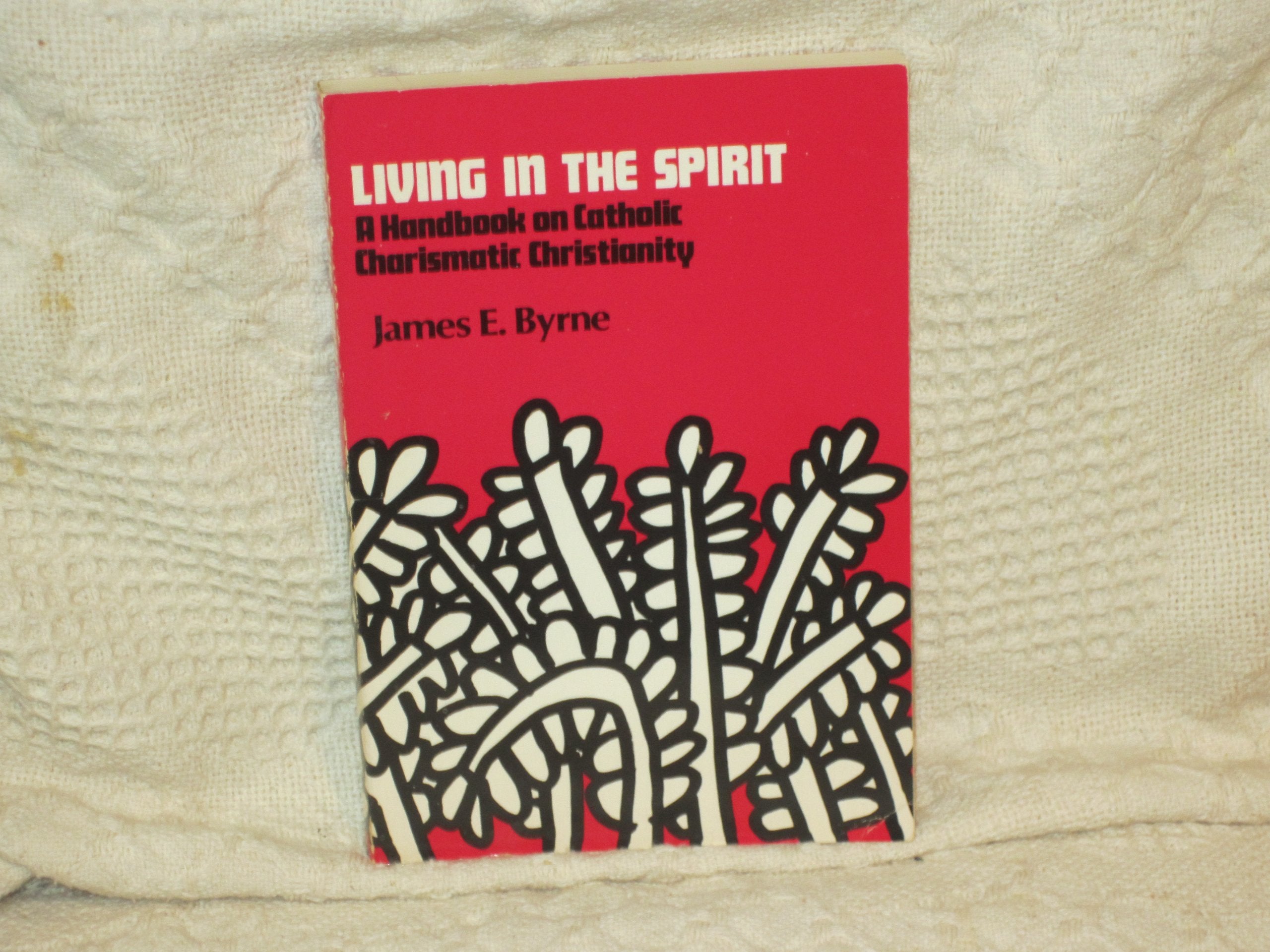 Living in the Spirit: A Handbook on Catholic Charismatic Christianity Religion & Esotericism